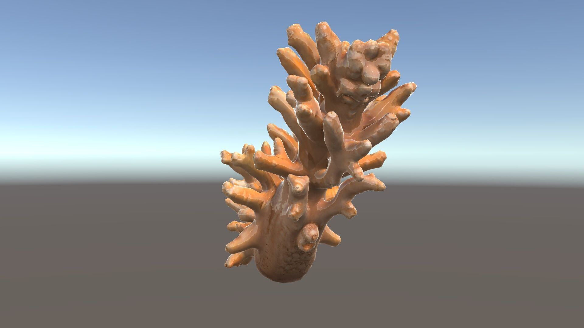 Realistic Coral Model Pack for Marine Environments Low-poly 3D model_33