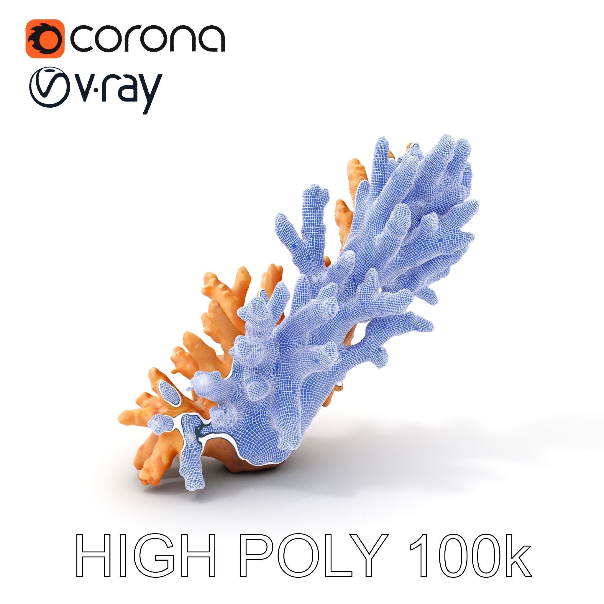 Realistic Coral Model Pack for Marine Environments Low-poly 3D model_4