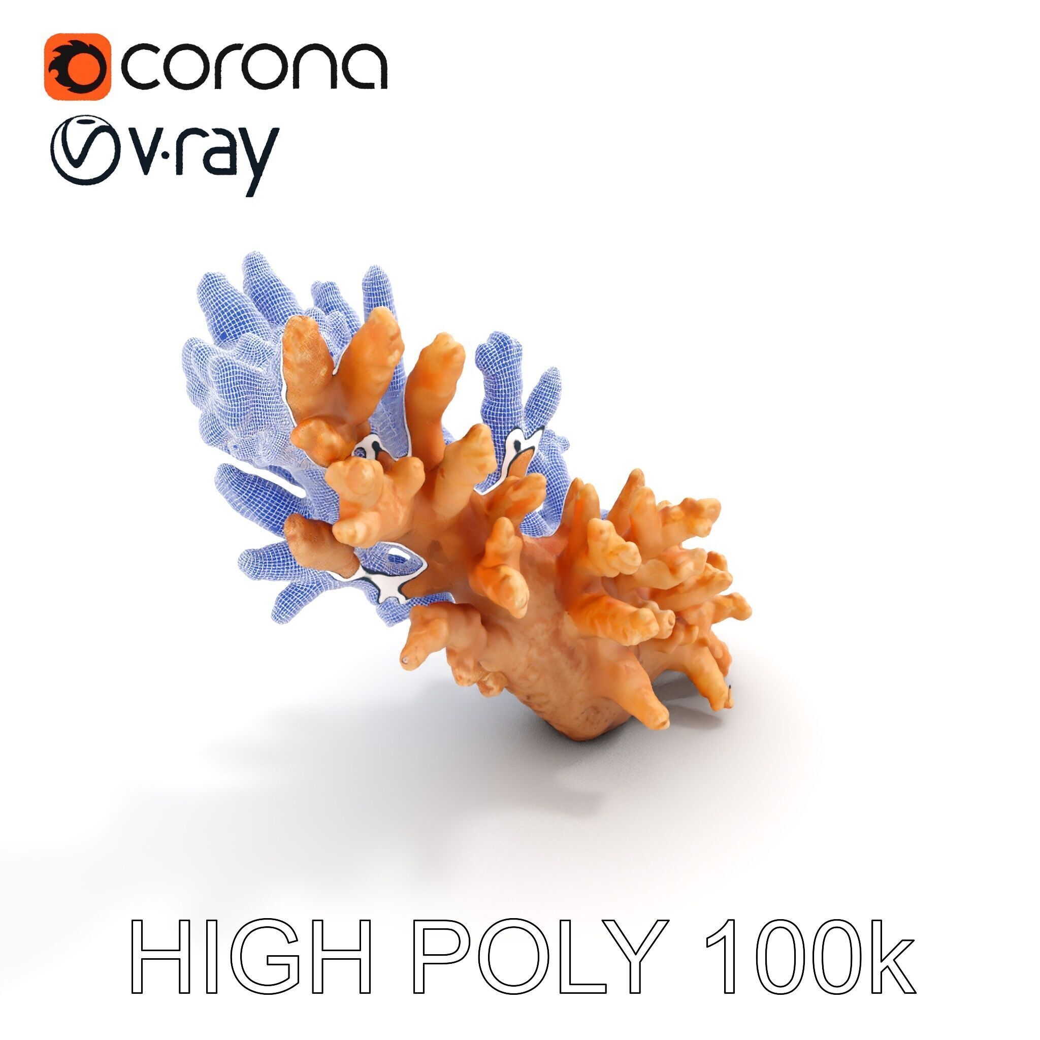 Realistic Coral Model Pack for Marine Environments Low-poly 3D model_24