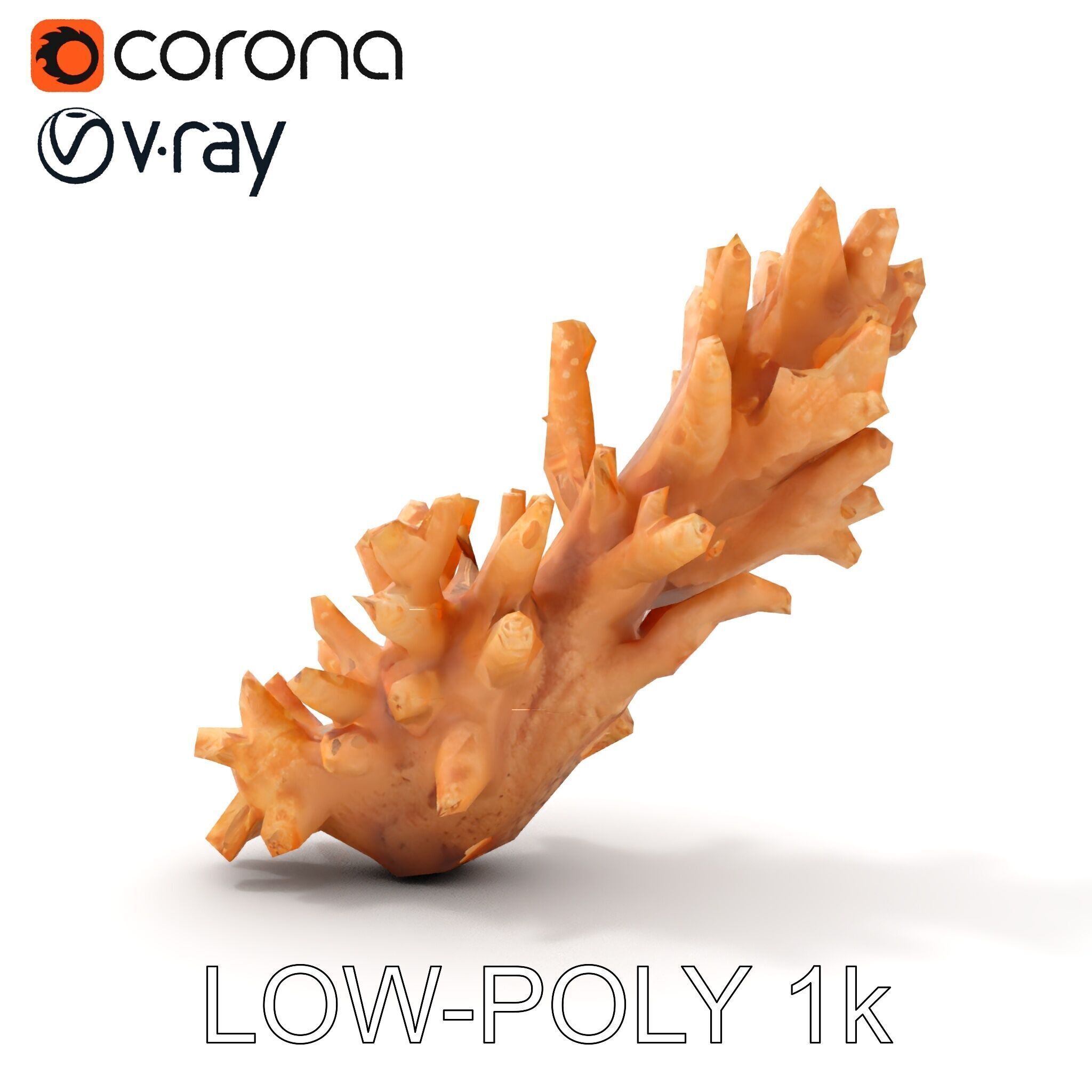 Realistic Coral Model Pack for Marine Environments Low-poly 3D model_11
