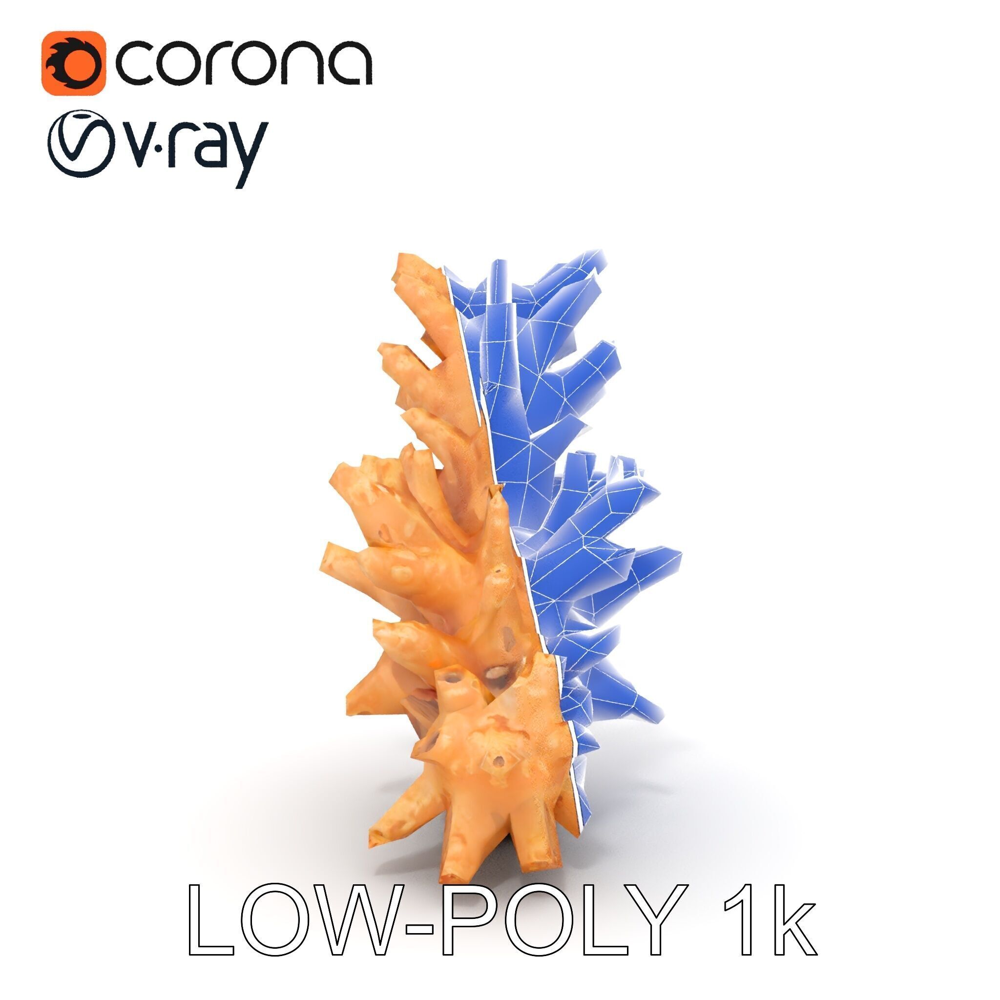 Realistic Coral Model Pack for Marine Environments Low-poly 3D model_17