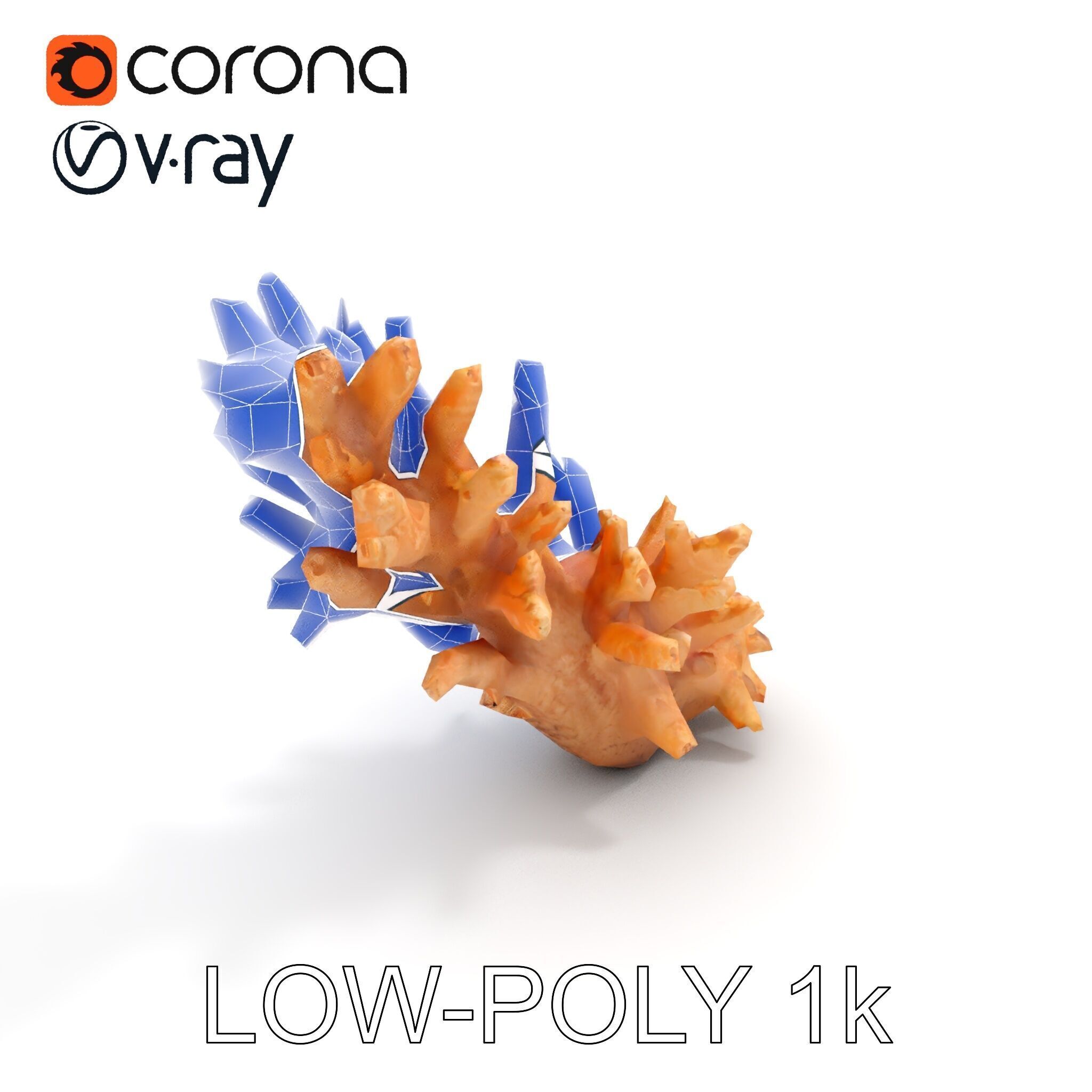 Realistic Coral Model Pack for Marine Environments Low-poly 3D model_23