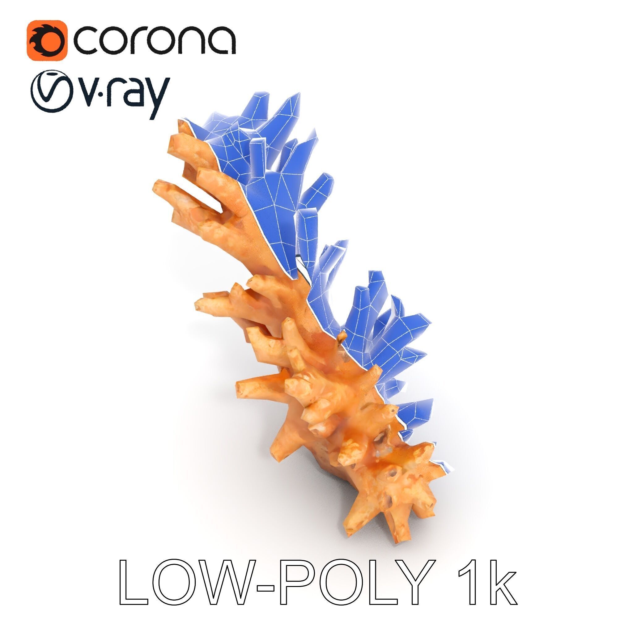 Realistic Coral Model Pack for Marine Environments Low-poly 3D model_28
