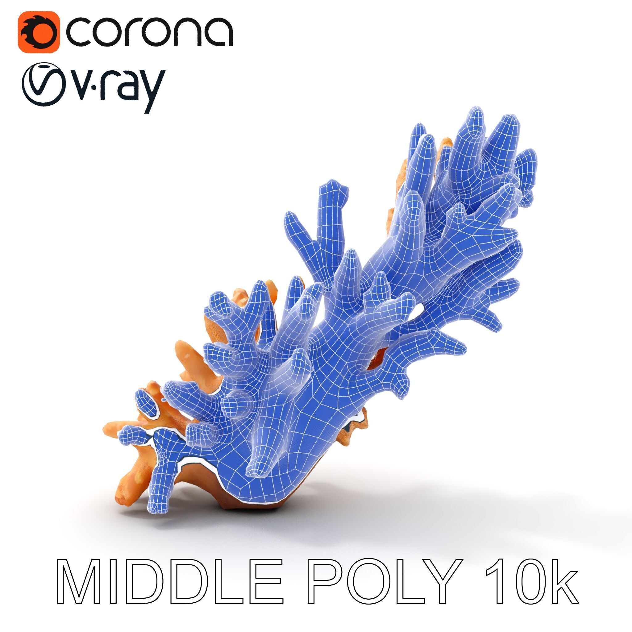Realistic Coral Model Pack for Marine Environments Low-poly 3D model_25