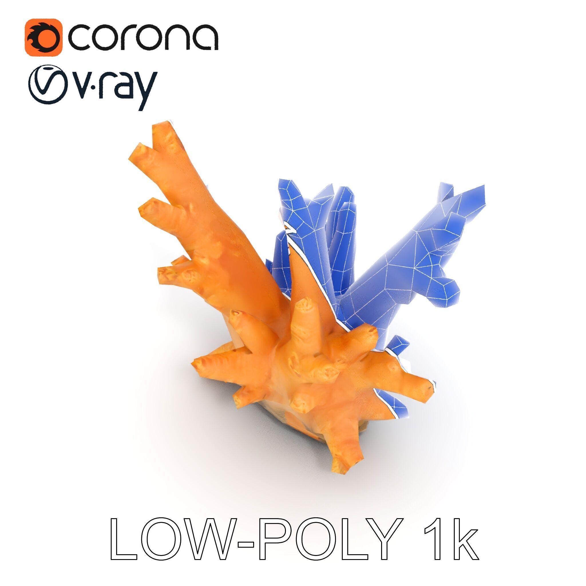 Realistic Coral Reef Model Pack Low-poly 3D model_23