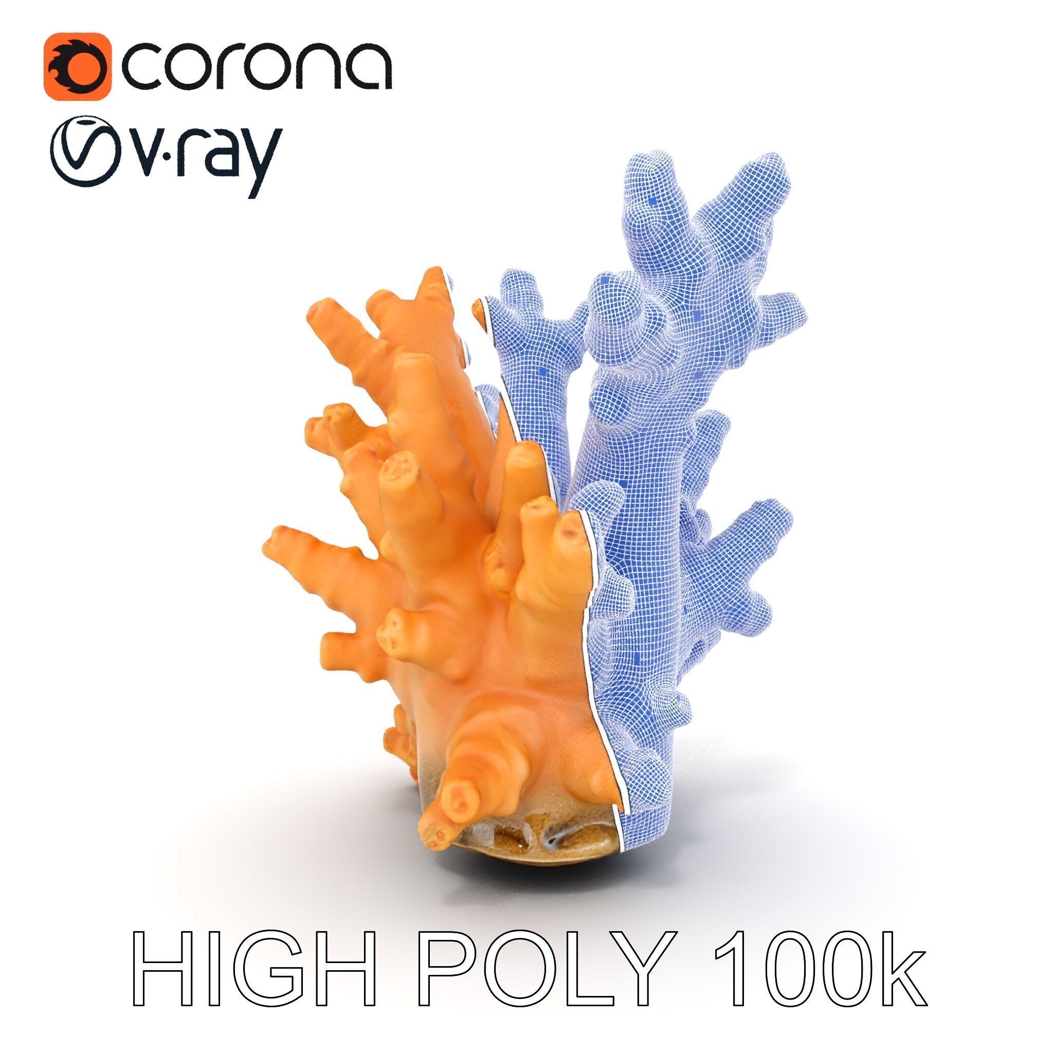 Realistic Coral Reef Model Pack Low-poly 3D model_32