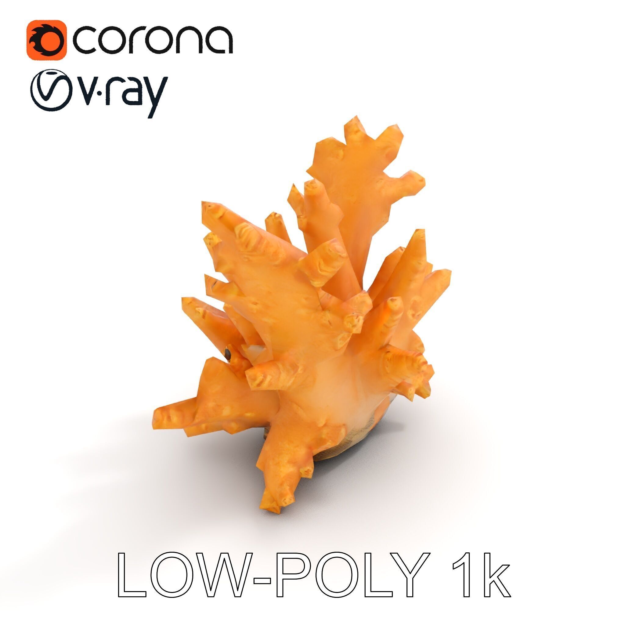 Realistic Coral Reef Model Pack Low-poly 3D model_7