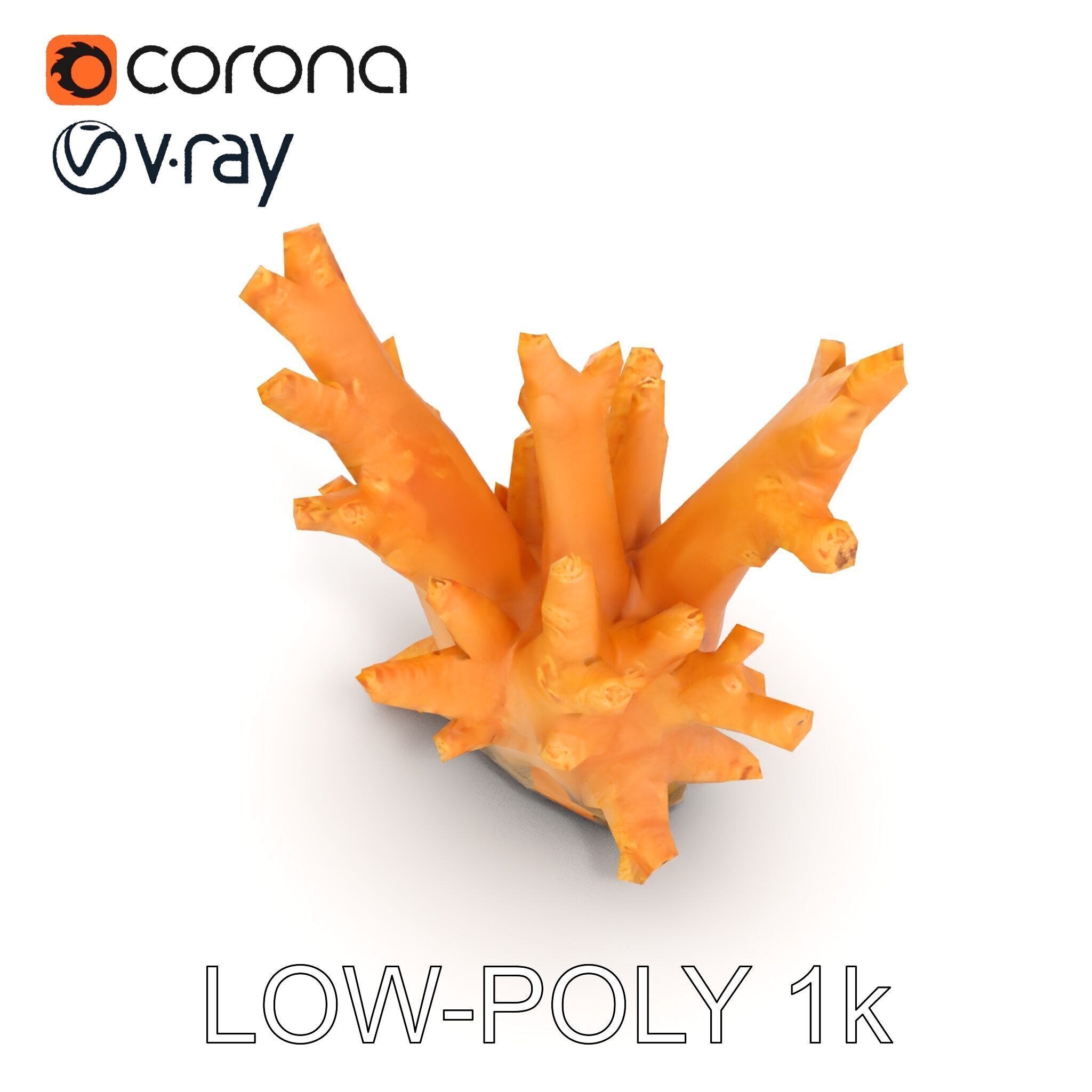 Realistic Coral Reef Model Pack Low-poly 3D model_20