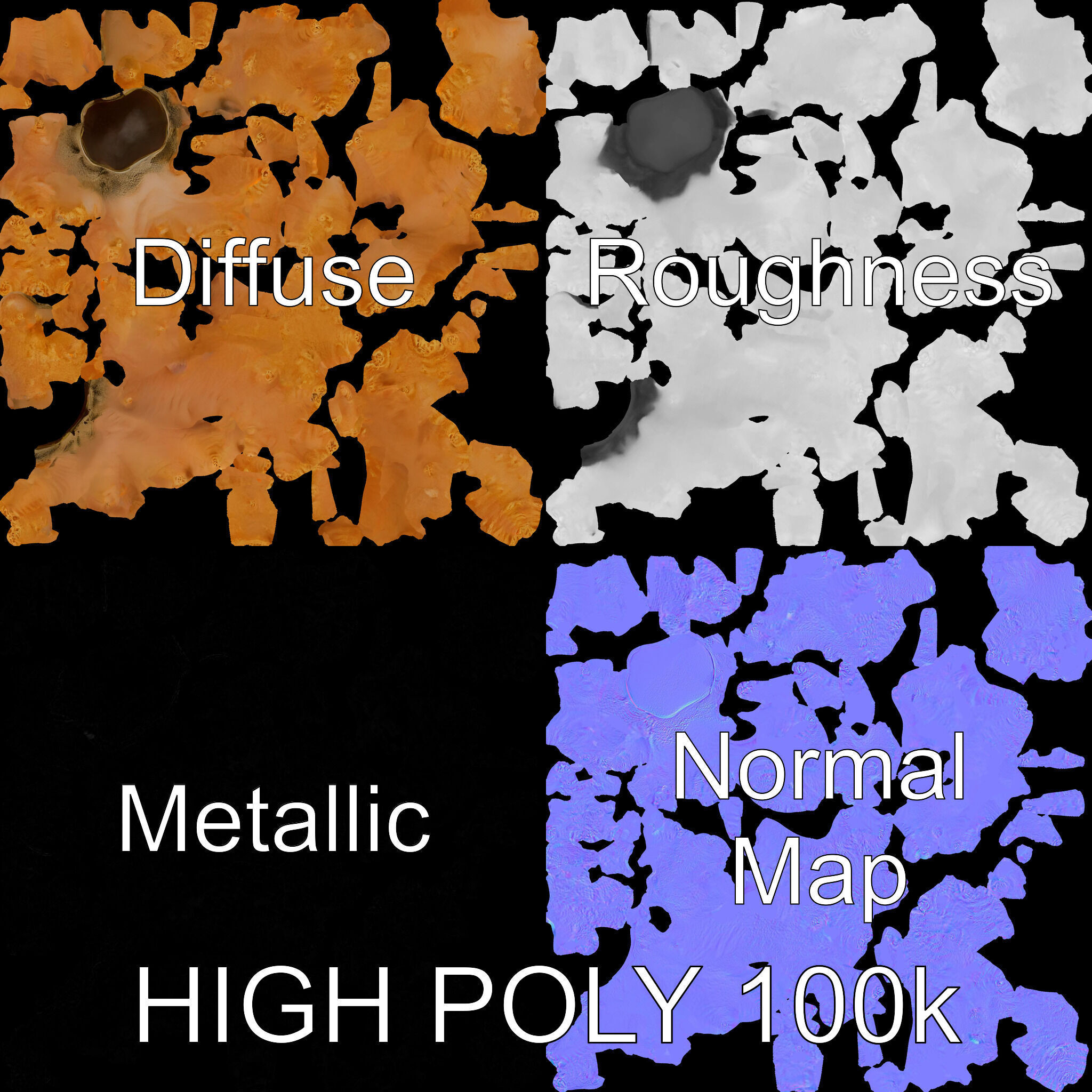 Realistic Coral Reef Model Pack Low-poly 3D model_3