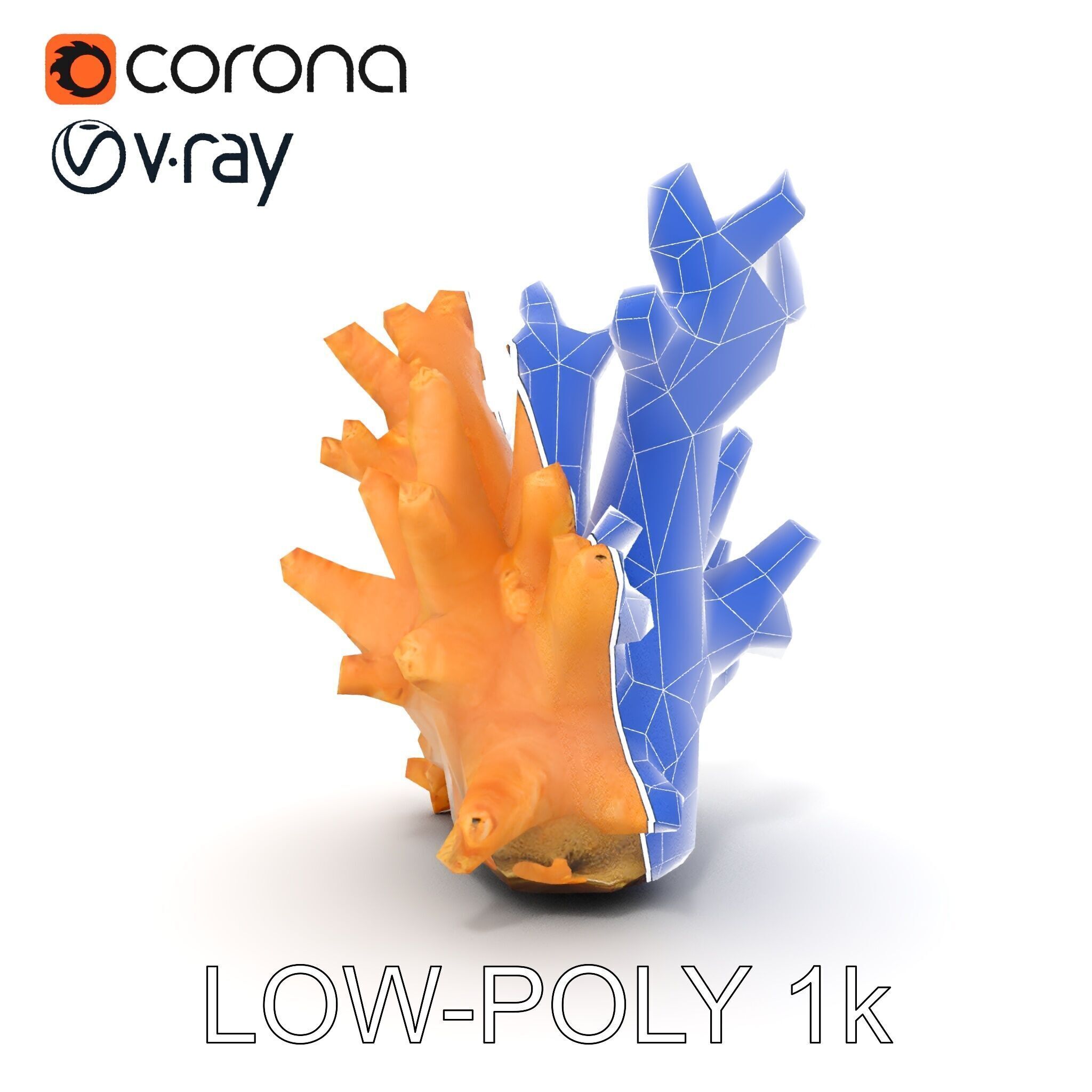 Realistic Coral Reef Model Pack Low-poly 3D model_26