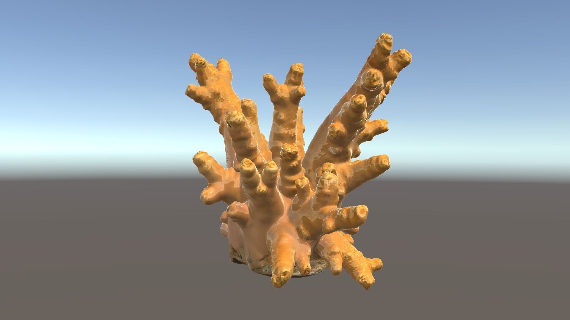 Realistic Coral Reef Model Pack Low-poly 3D model_5