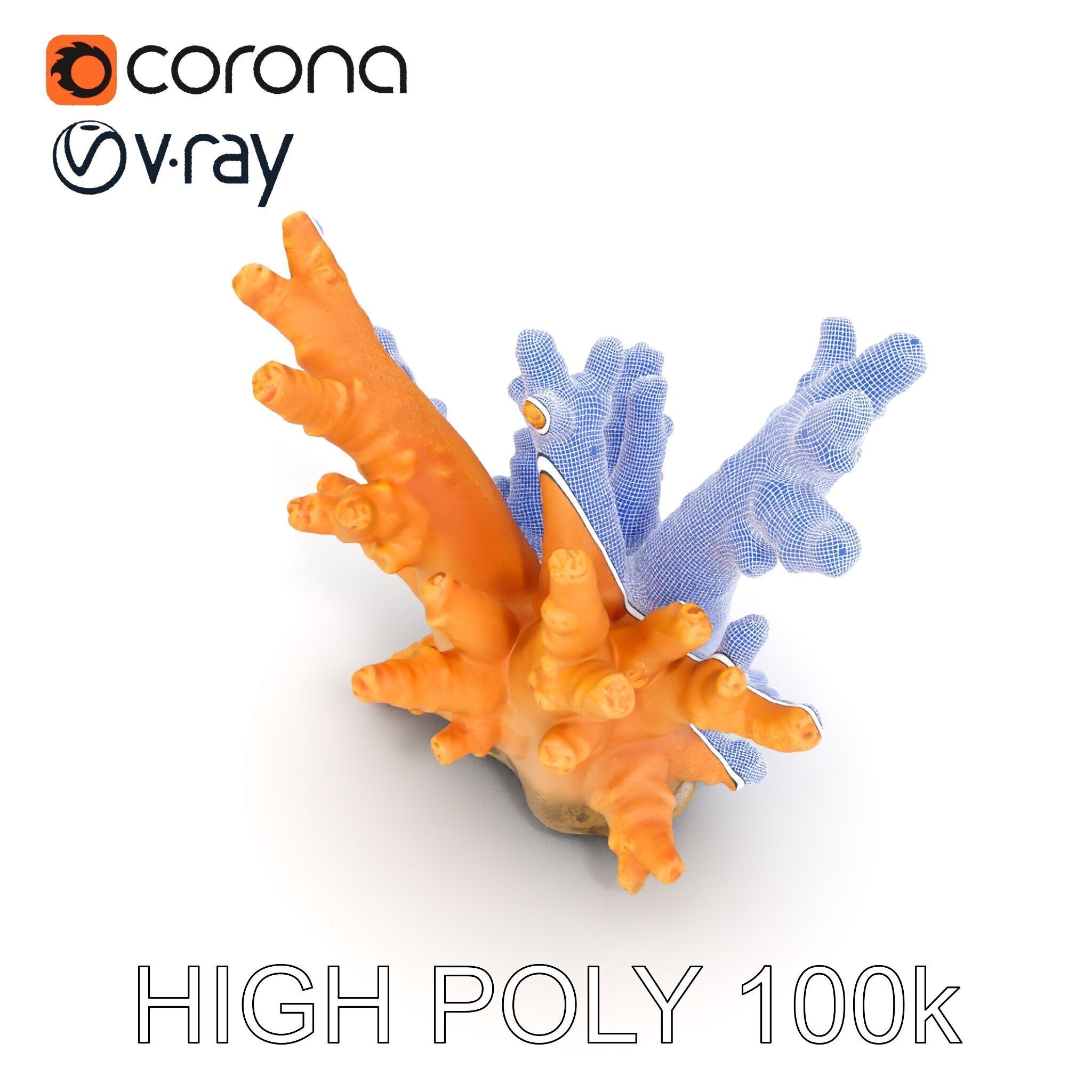 Realistic Coral Reef Model Pack Low-poly 3D model_29