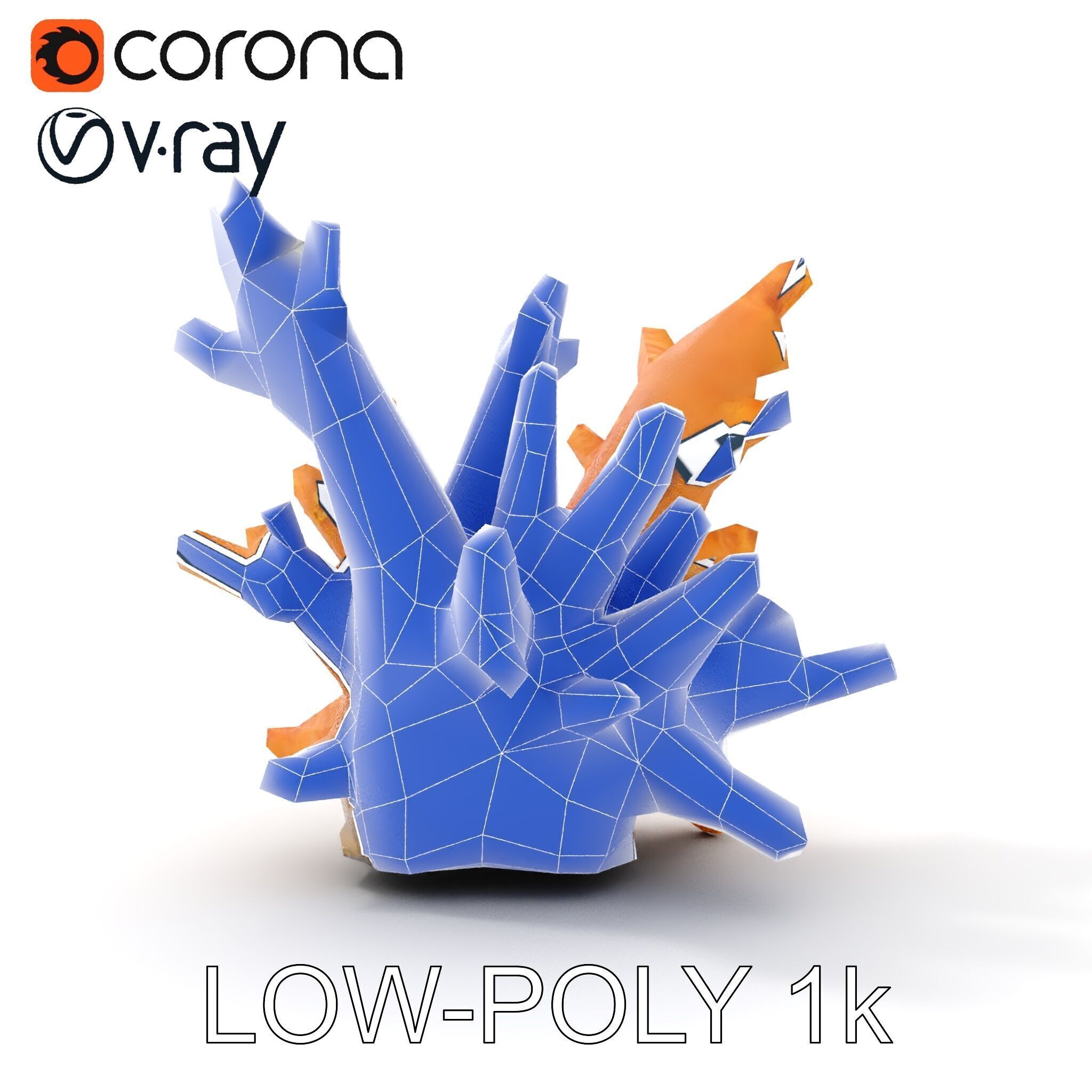 Realistic Coral Reef Model Pack Low-poly 3D model_28