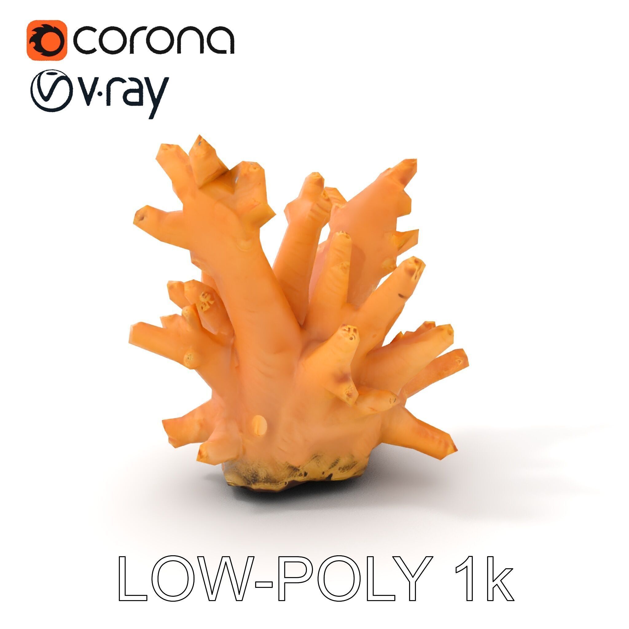 Realistic Coral Reef Model Pack Low-poly 3D model_9