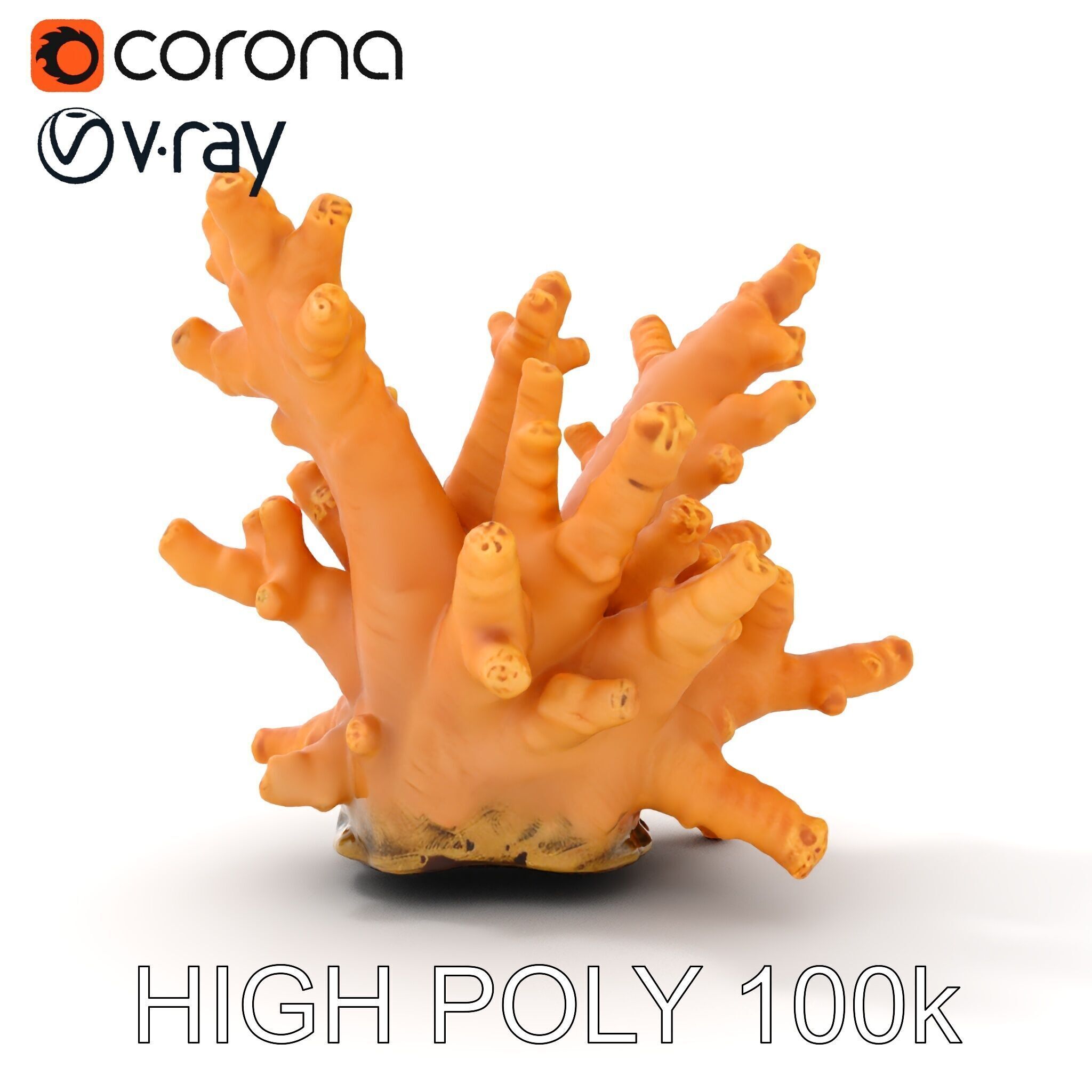 Realistic Coral Reef Model Pack Low-poly 3D model_24