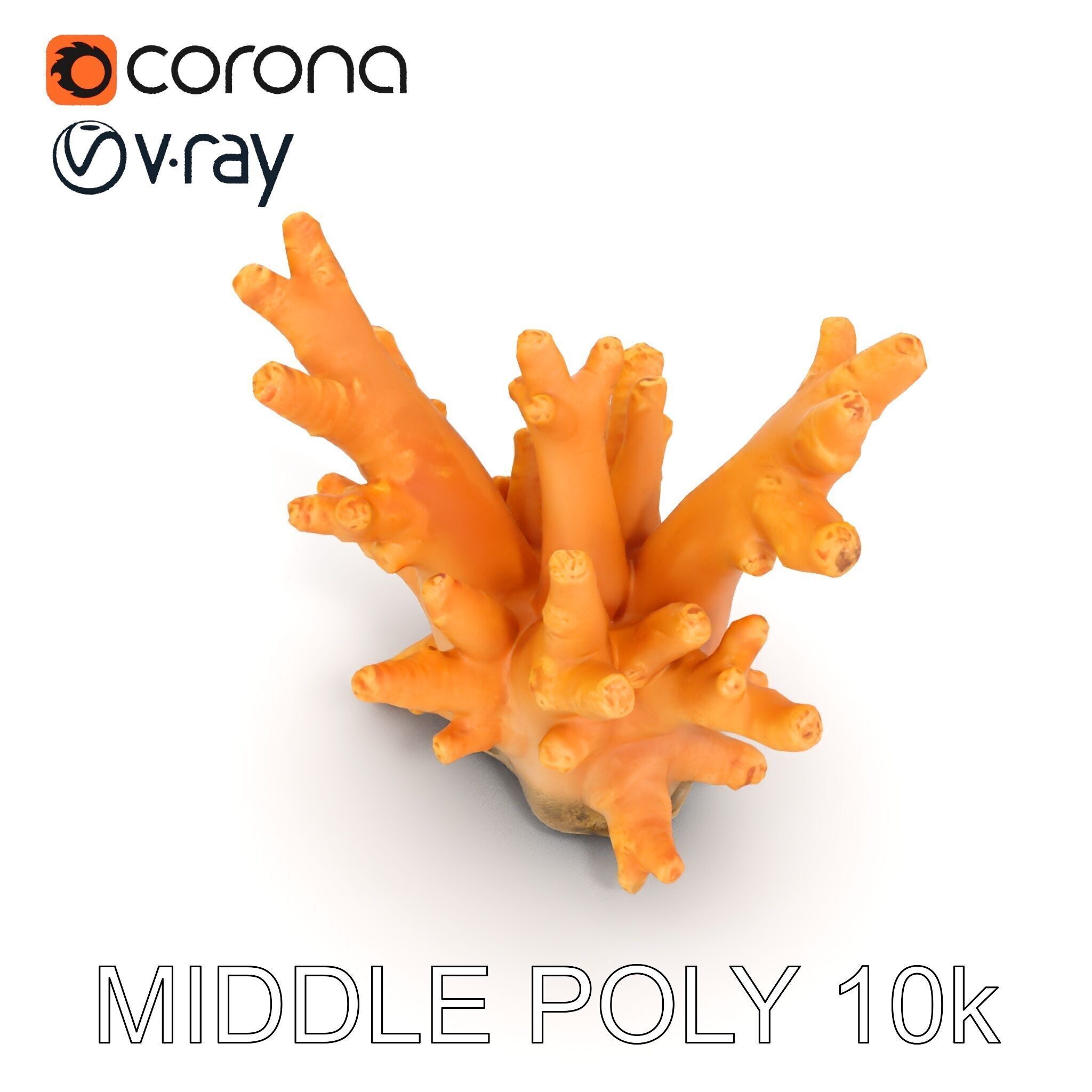Realistic Coral Reef Model Pack Low-poly 3D model_8