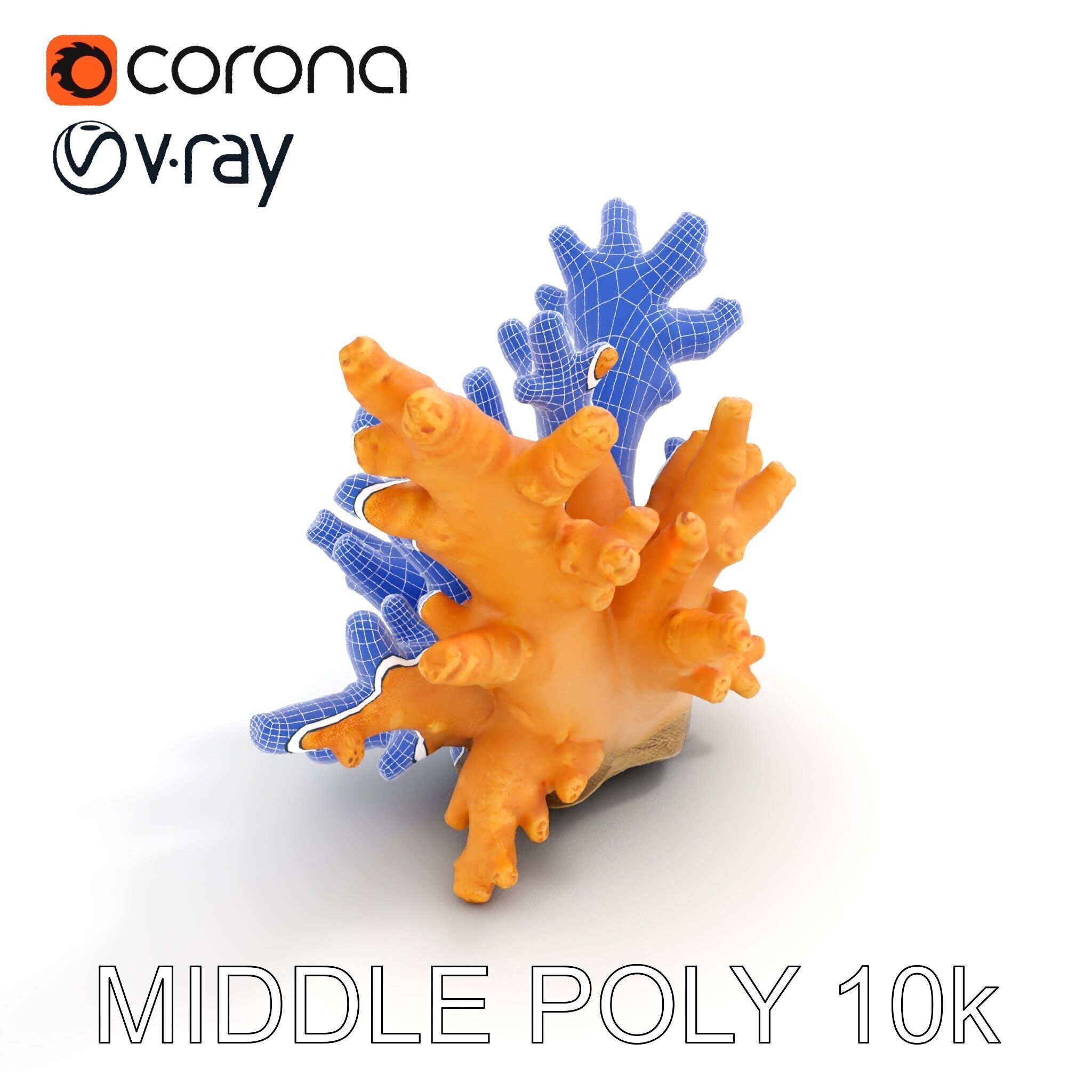 Realistic Coral Reef Model Pack Low-poly 3D model_19