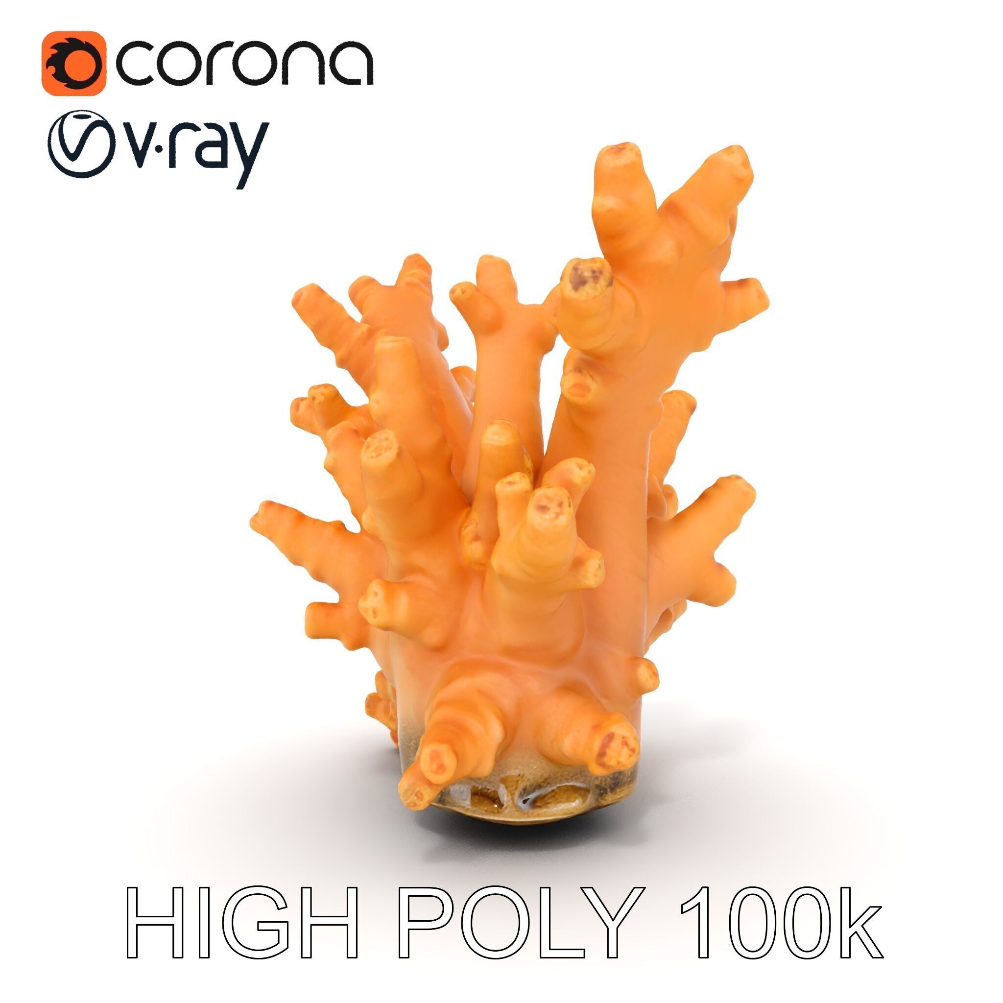 Realistic Coral Reef Model Pack Low-poly 3D model_18
