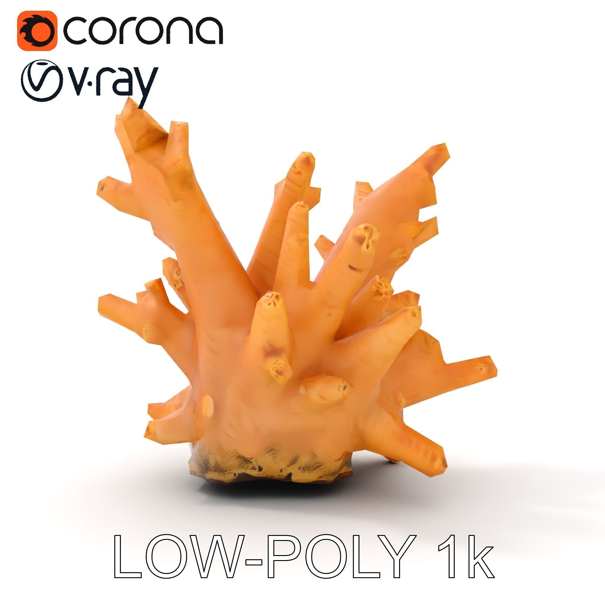 Realistic Coral Reef Model Pack Low-poly 3D model_14