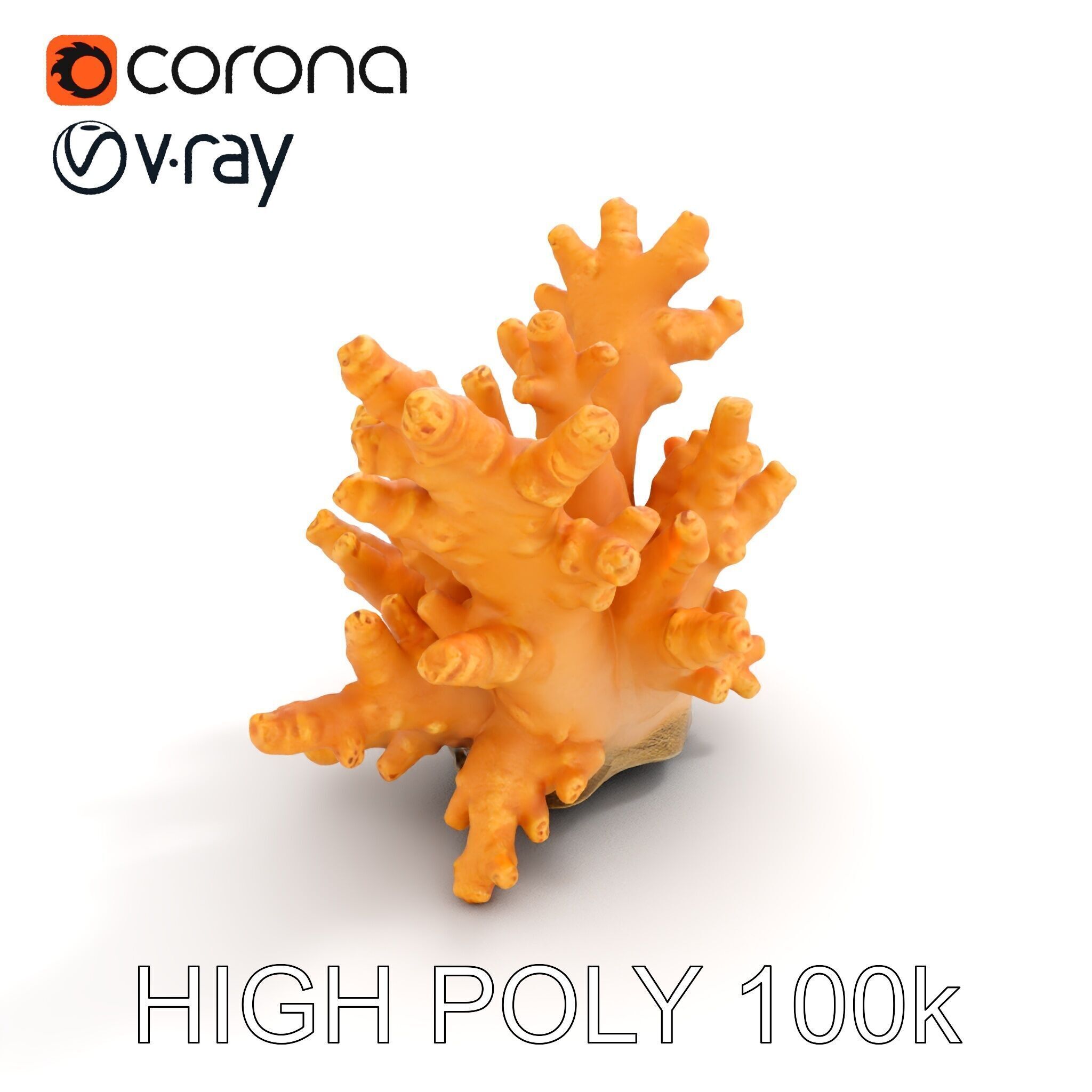 Realistic Coral Reef Model Pack Low-poly 3D model_21