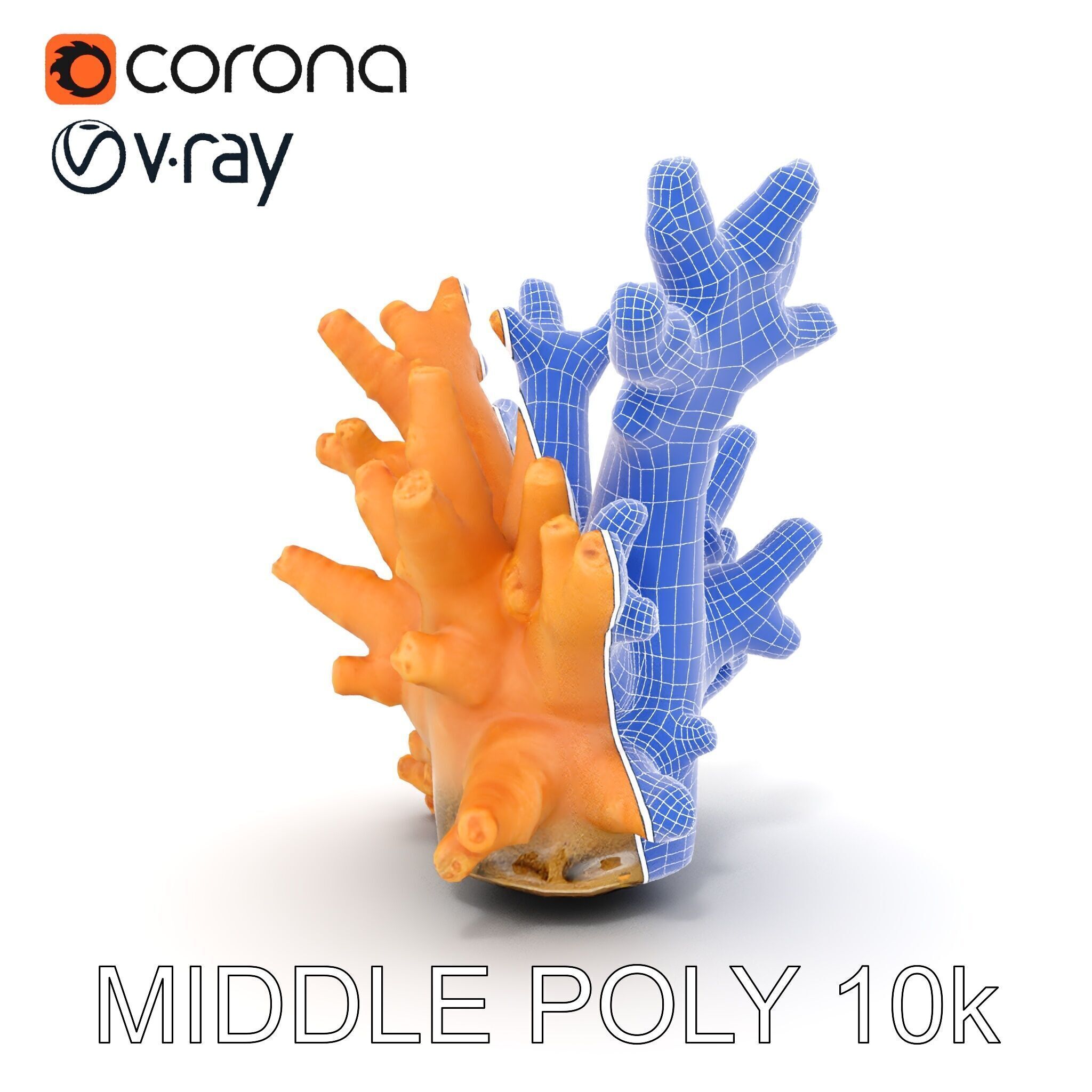 Realistic Coral Reef Model Pack Low-poly 3D model_30