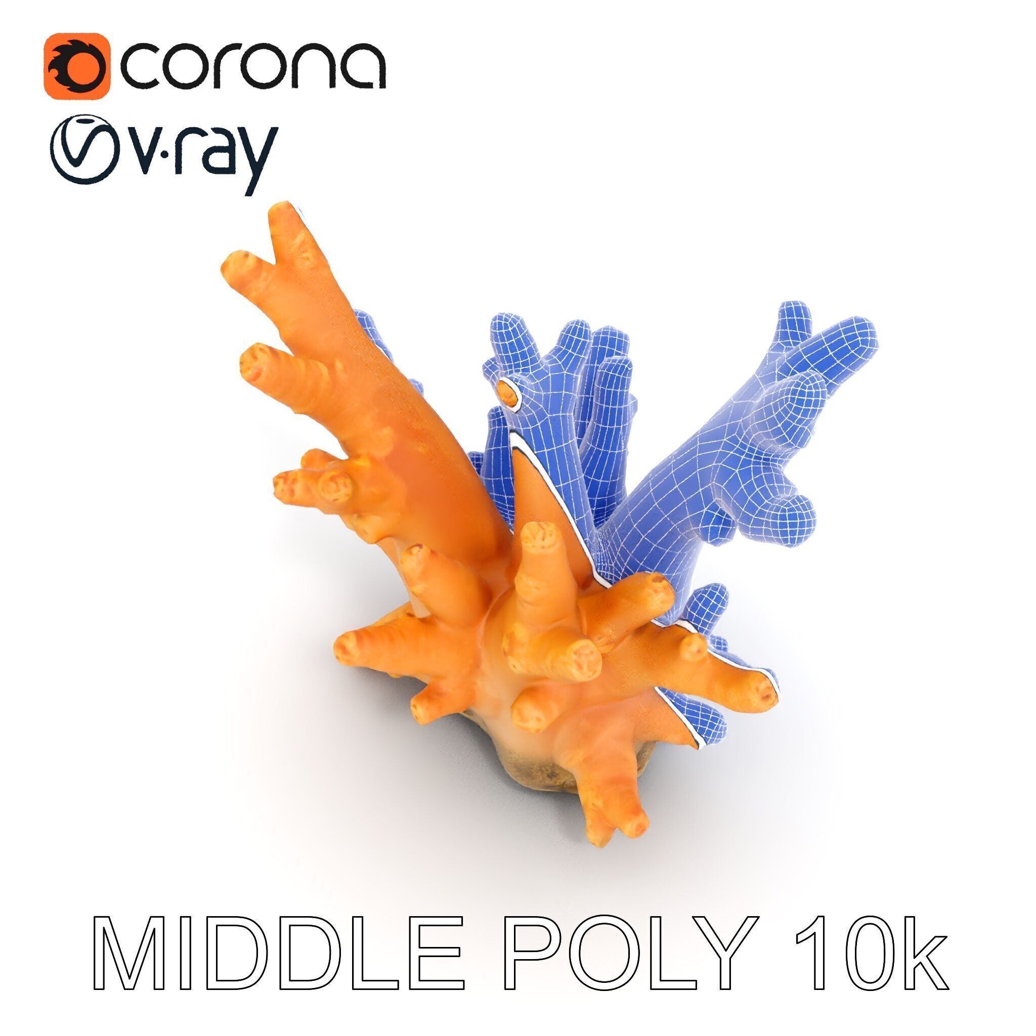Realistic Coral Reef Model Pack Low-poly 3D model_27