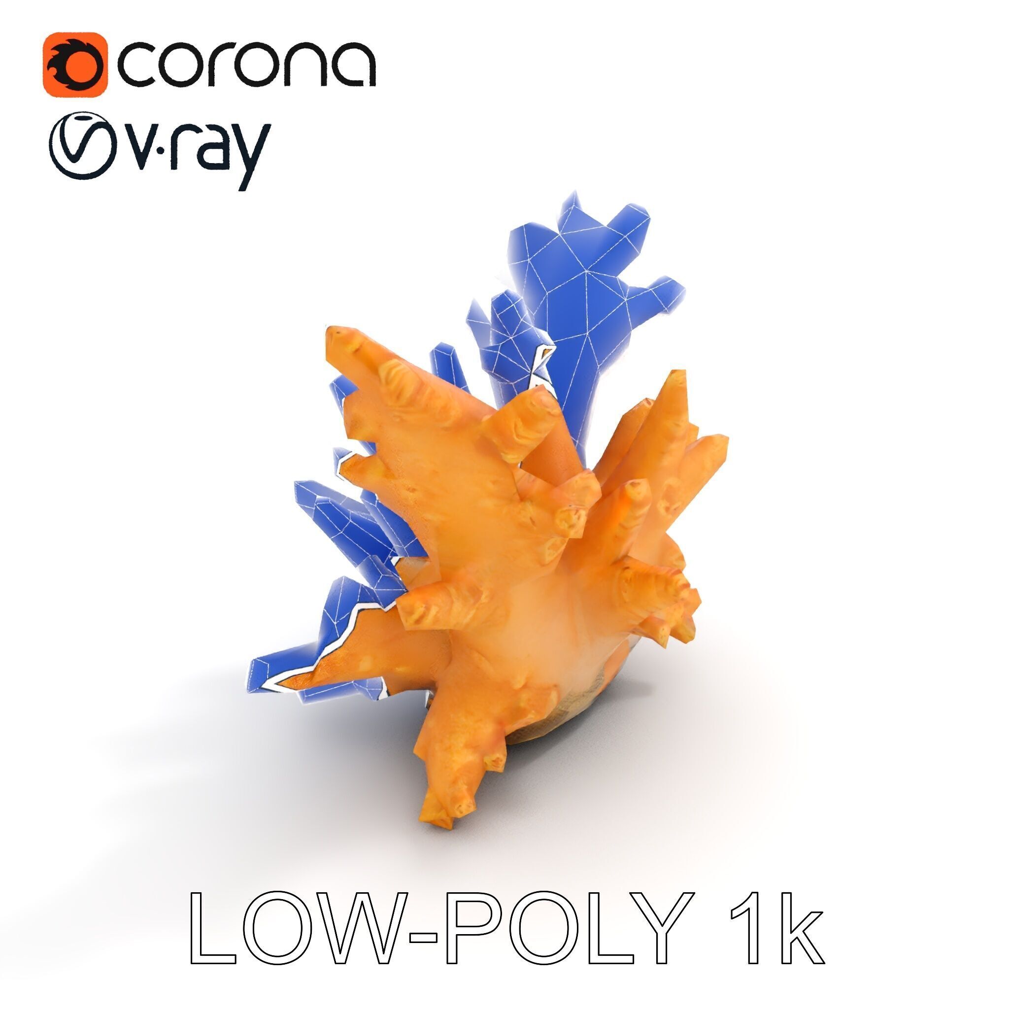 Realistic Coral Reef Model Pack Low-poly 3D model_31