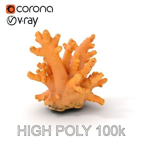 Realistic Coral Reef Model Pack Low-poly 3D model