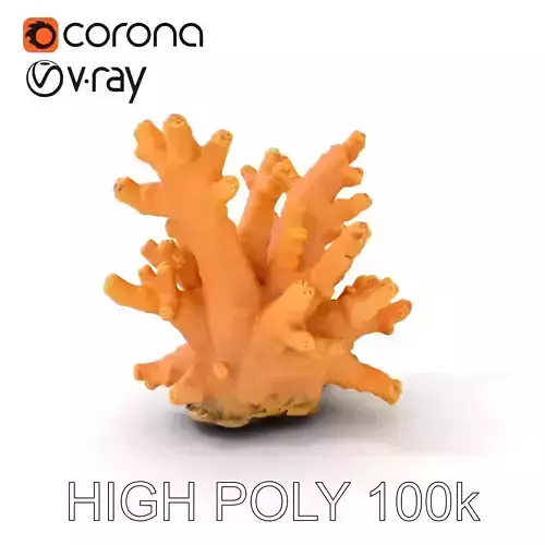 Realistic Coral Reef Model Pack Low-poly 3D model