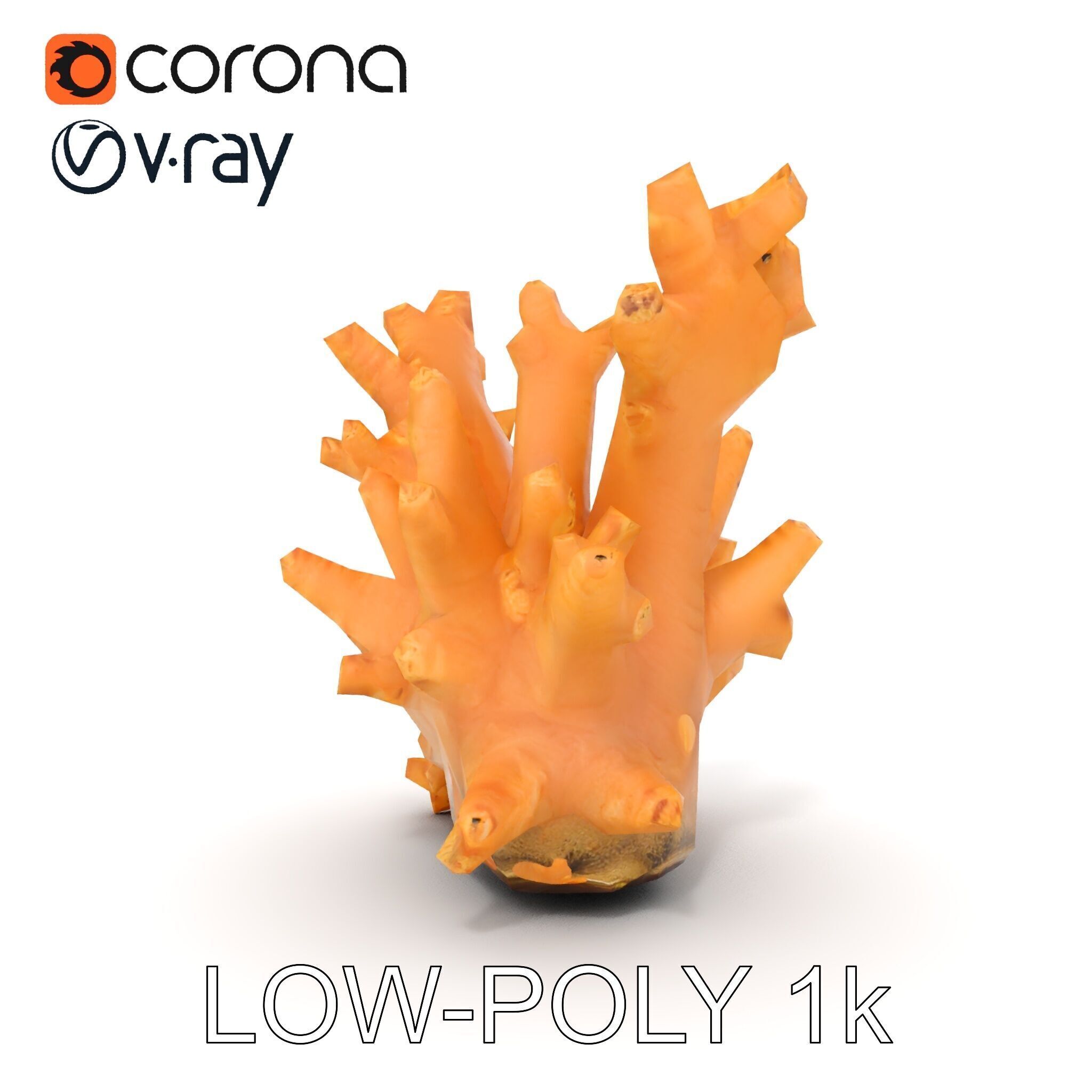 Realistic Coral Reef Model Pack Low-poly 3D model_17