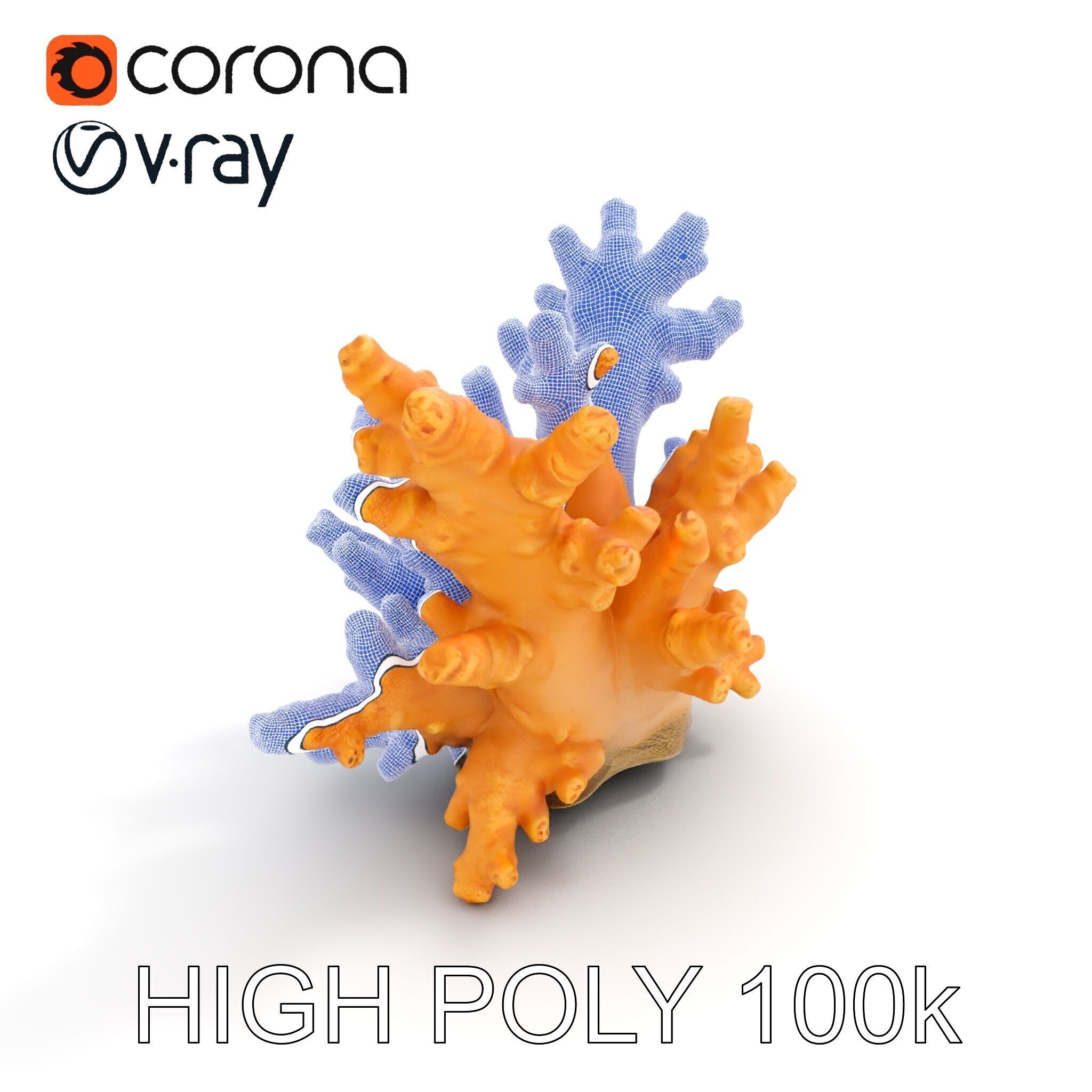 Realistic Coral Reef Model Pack Low-poly 3D model_12