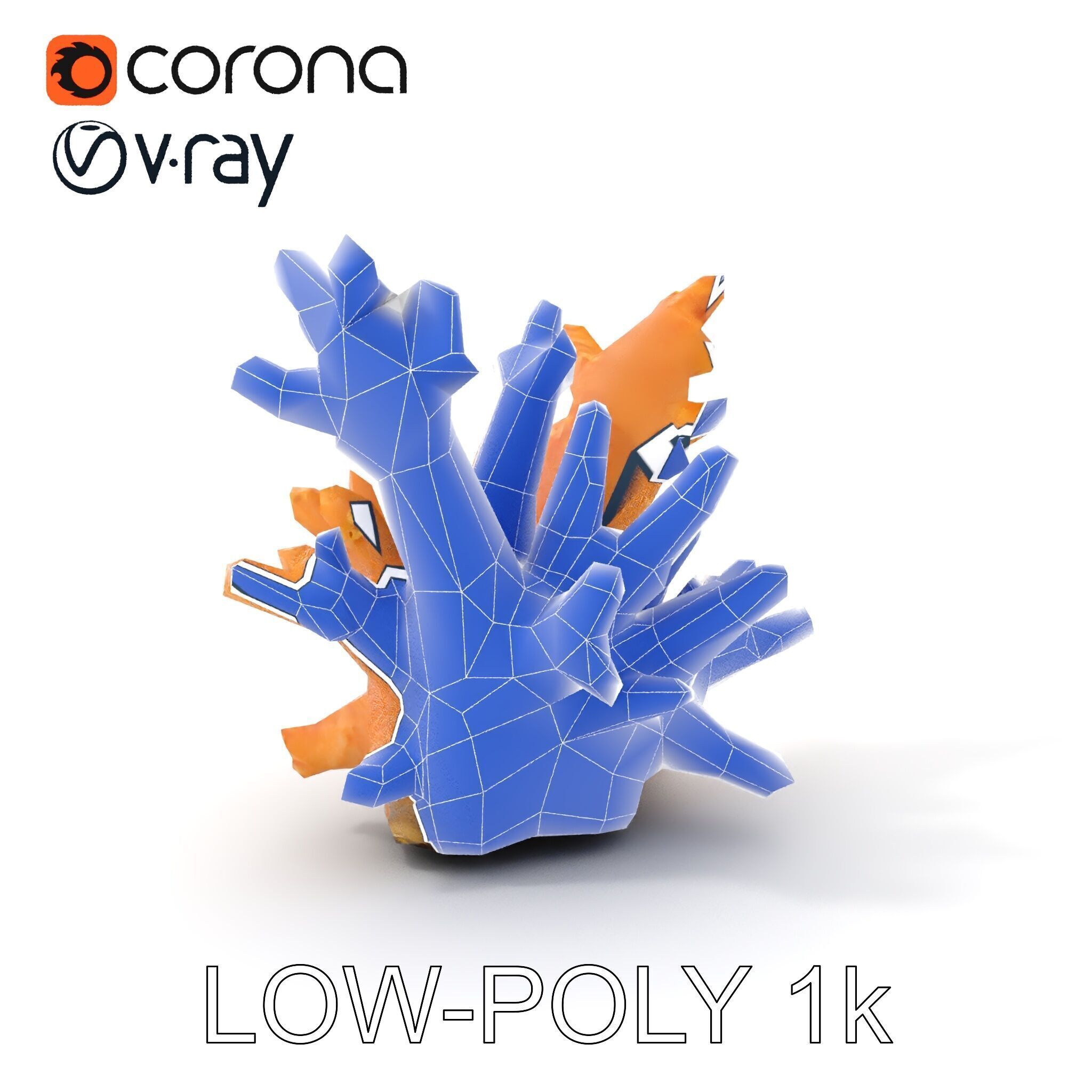 Realistic Coral Reef Model Pack Low-poly 3D model_11