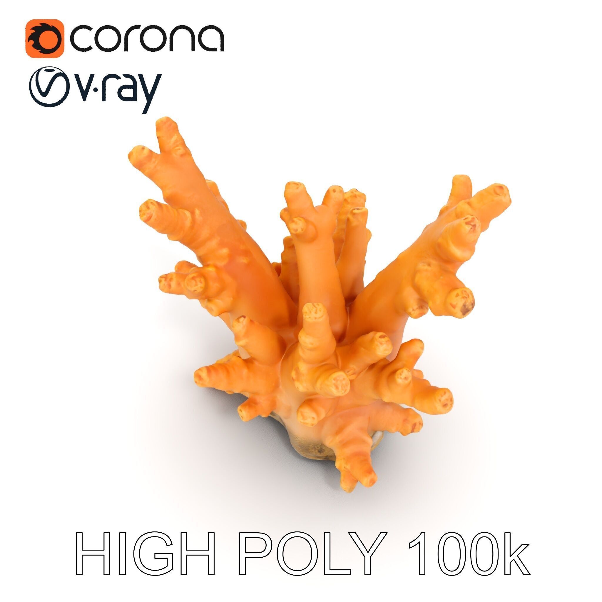 Realistic Coral Reef Model Pack Low-poly 3D model_15
