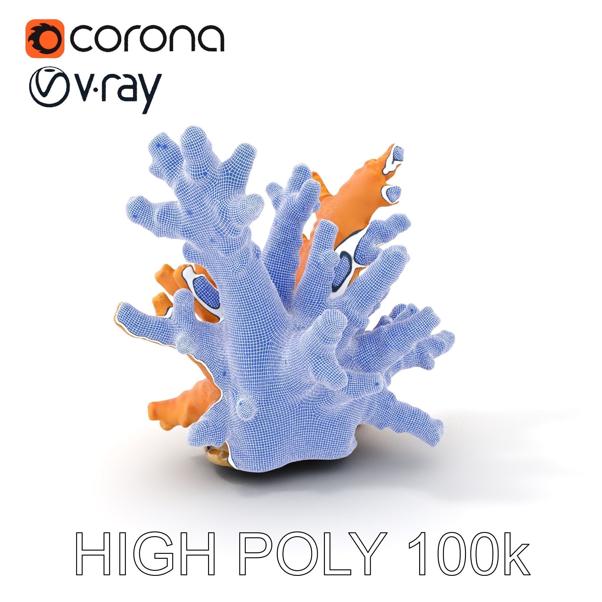 Realistic Coral Reef Model Pack Low-poly 3D model_4