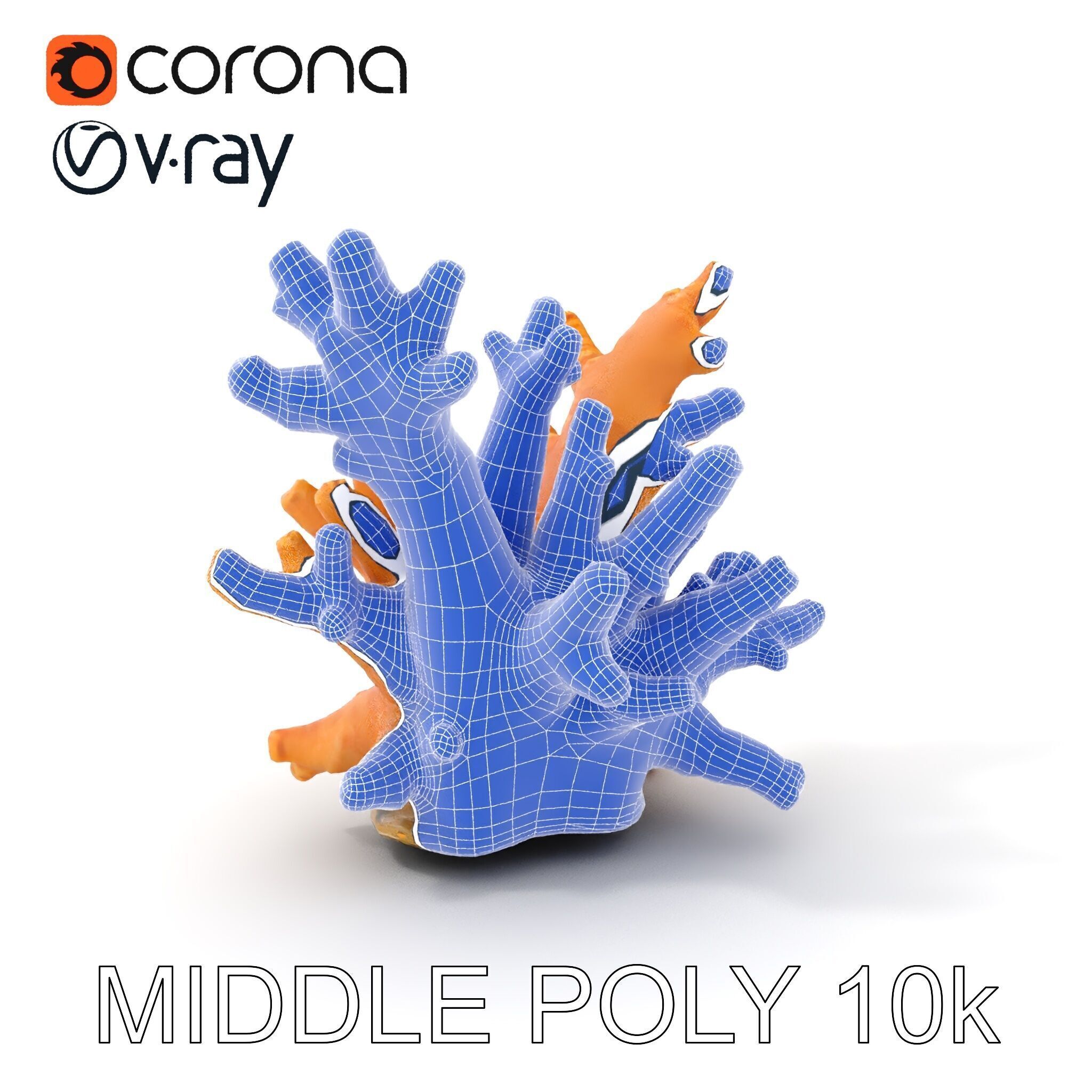 Realistic Coral Reef Model Pack Low-poly 3D model_22