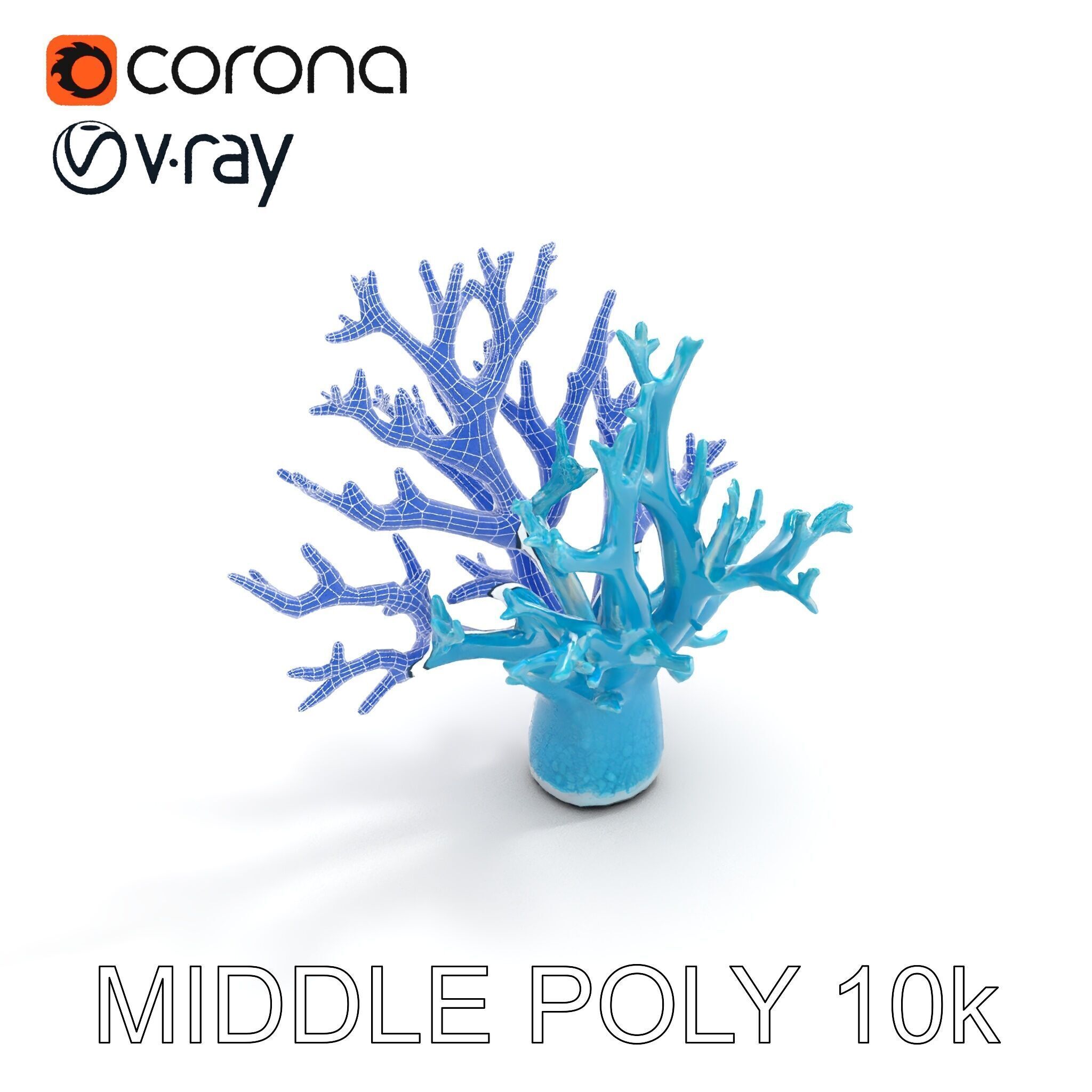 Coral Reef Structure Model Pack for D Rendering Low-poly 3D model_19
