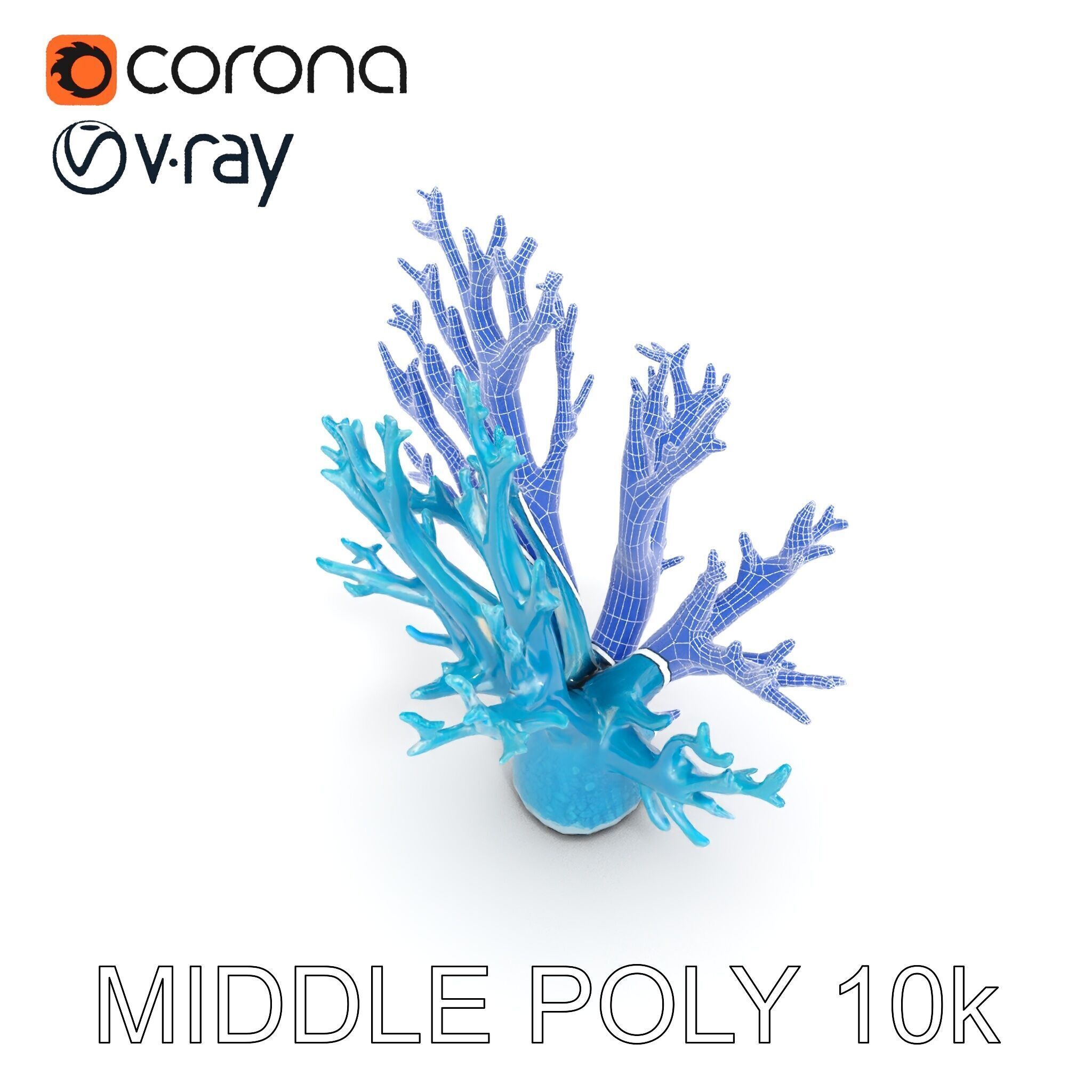 Coral Reef Structure Model Pack for D Rendering Low-poly 3D model_30