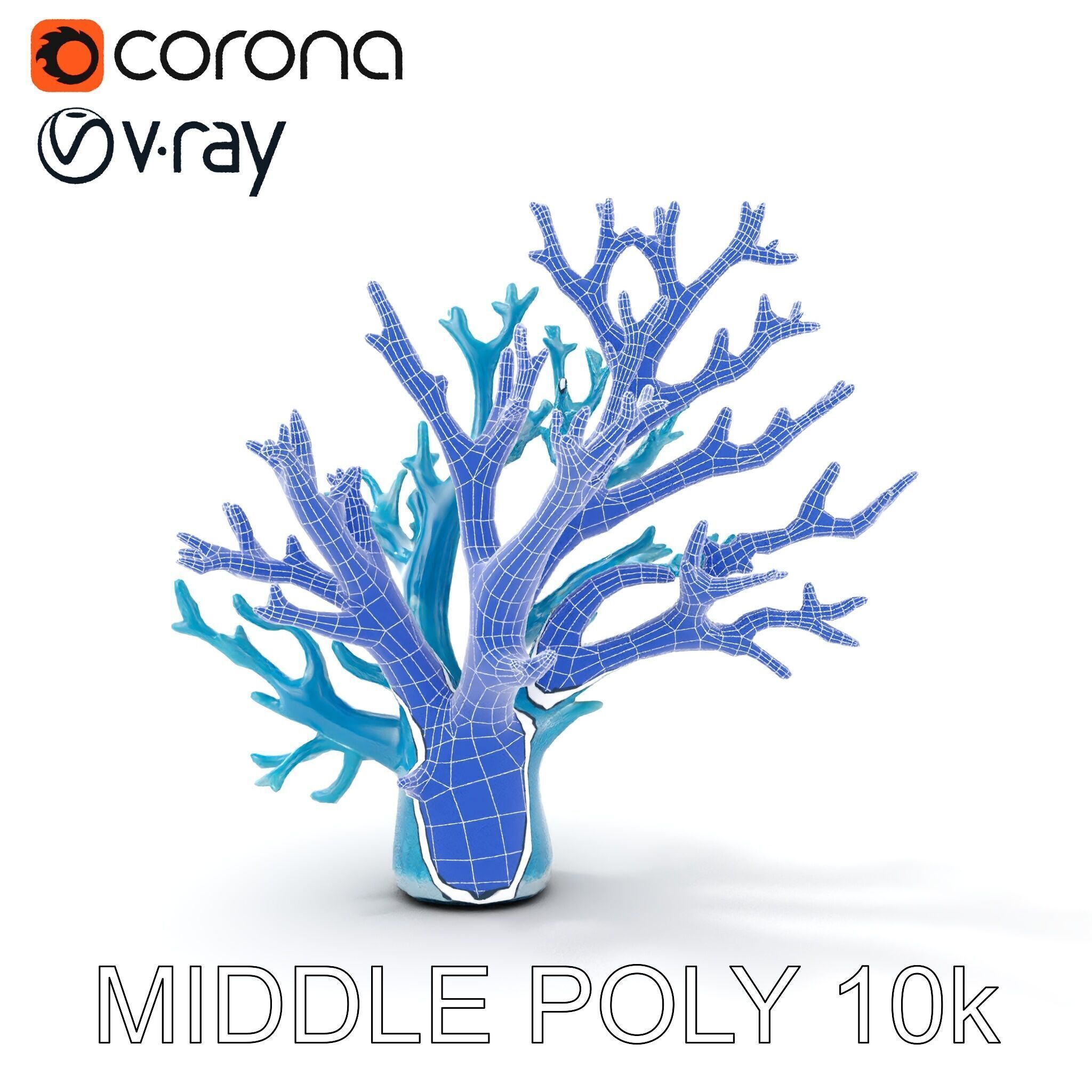 Coral Reef Structure Model Pack for D Rendering Low-poly 3D model_27