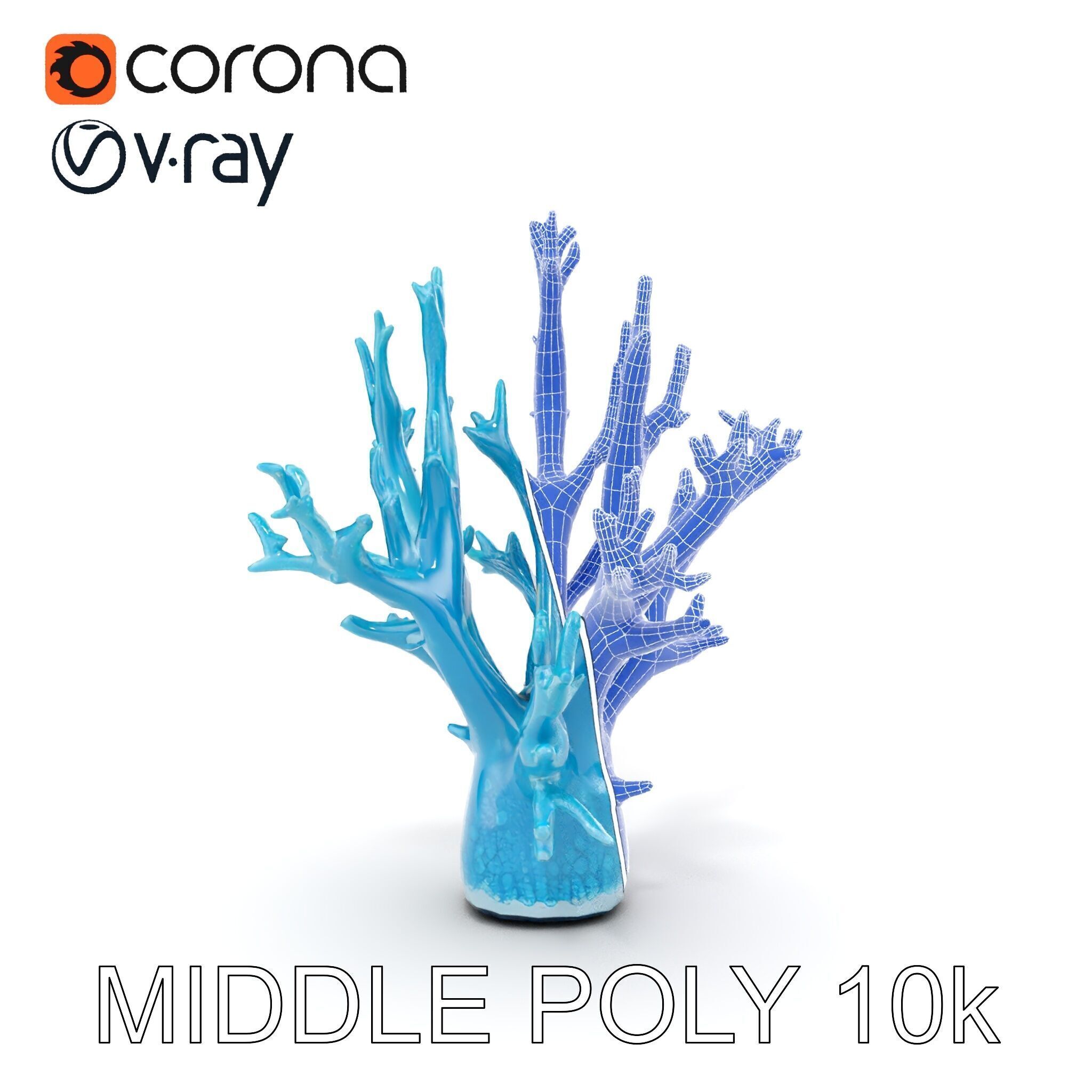 Coral Reef Structure Model Pack for D Rendering Low-poly 3D model_24
