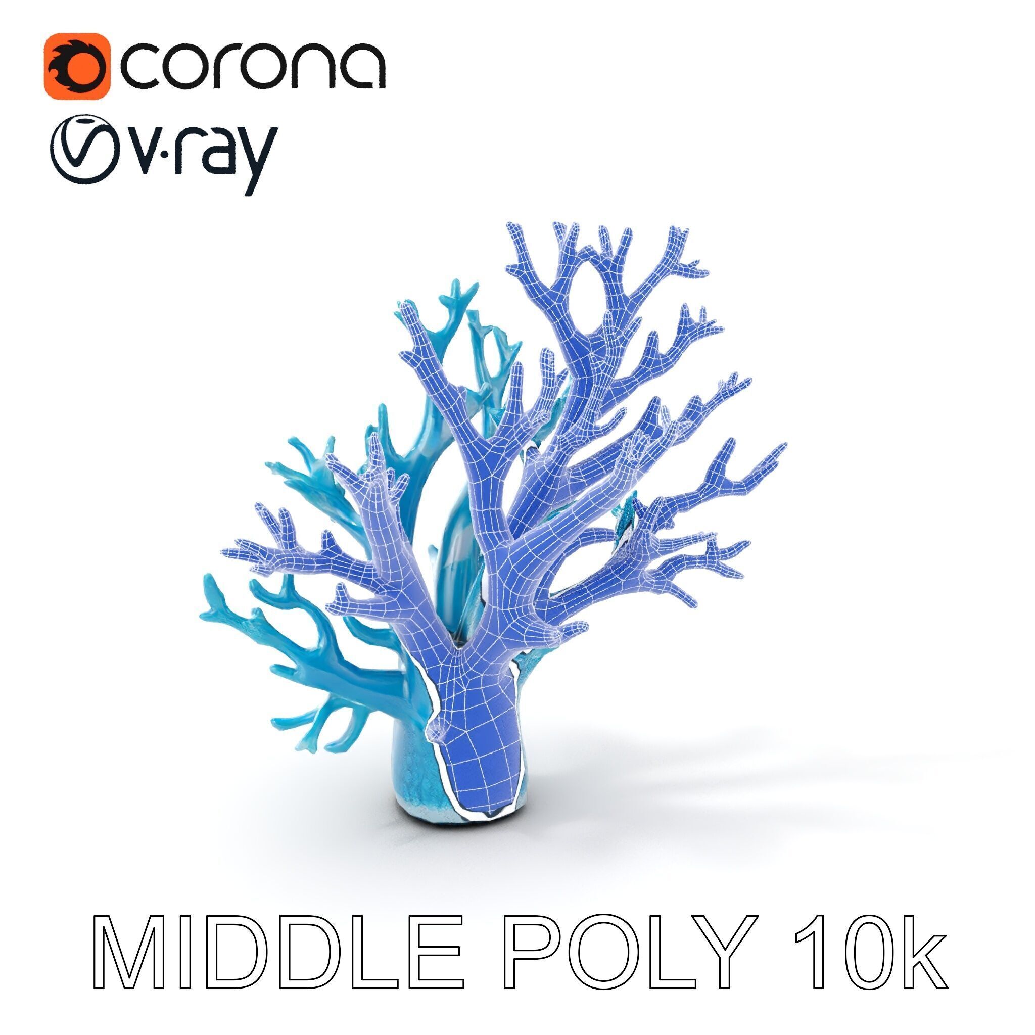 Coral Reef Structure Model Pack for D Rendering Low-poly 3D model_11