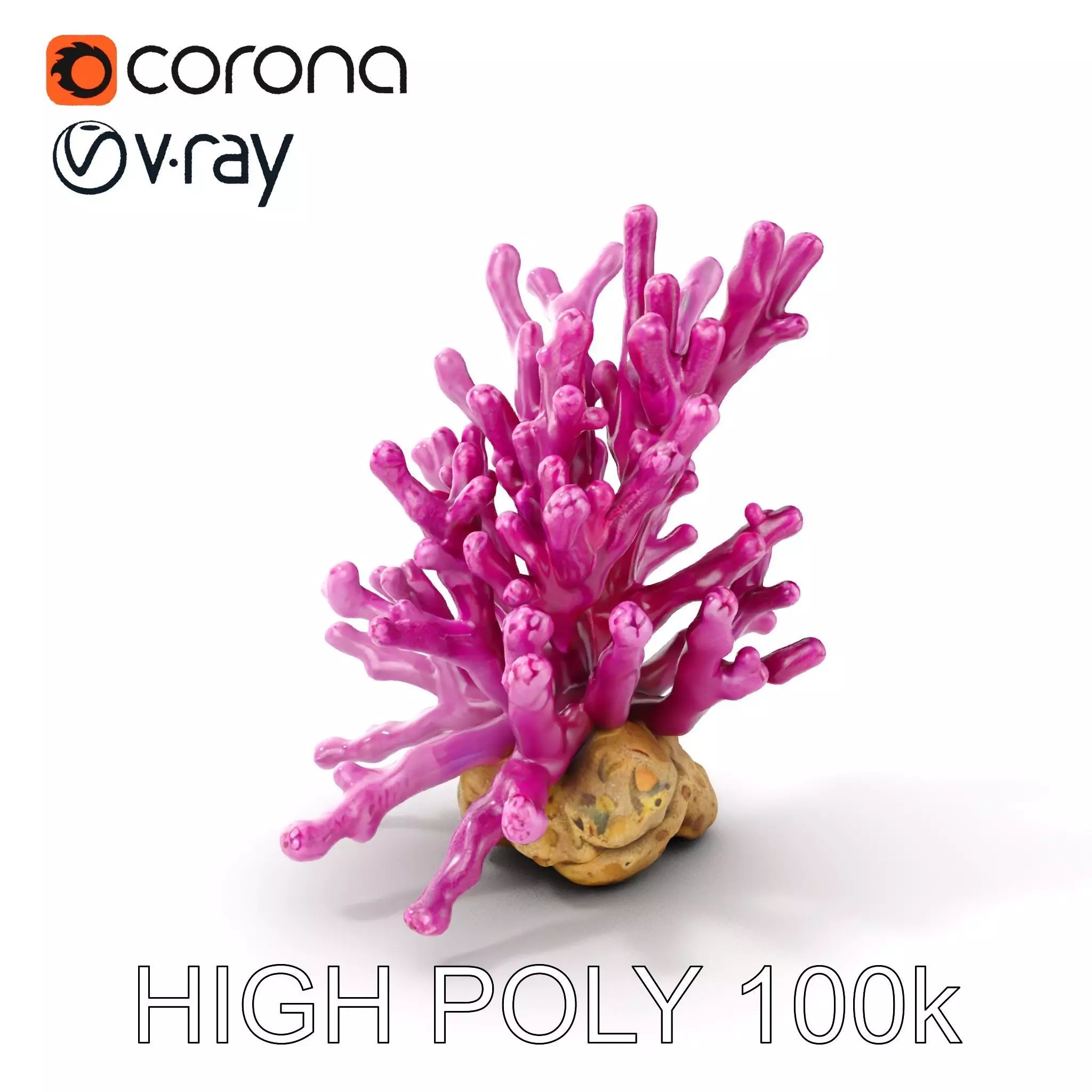 Vibrant Coral Reef Model Pack Low-poly 3D model_0