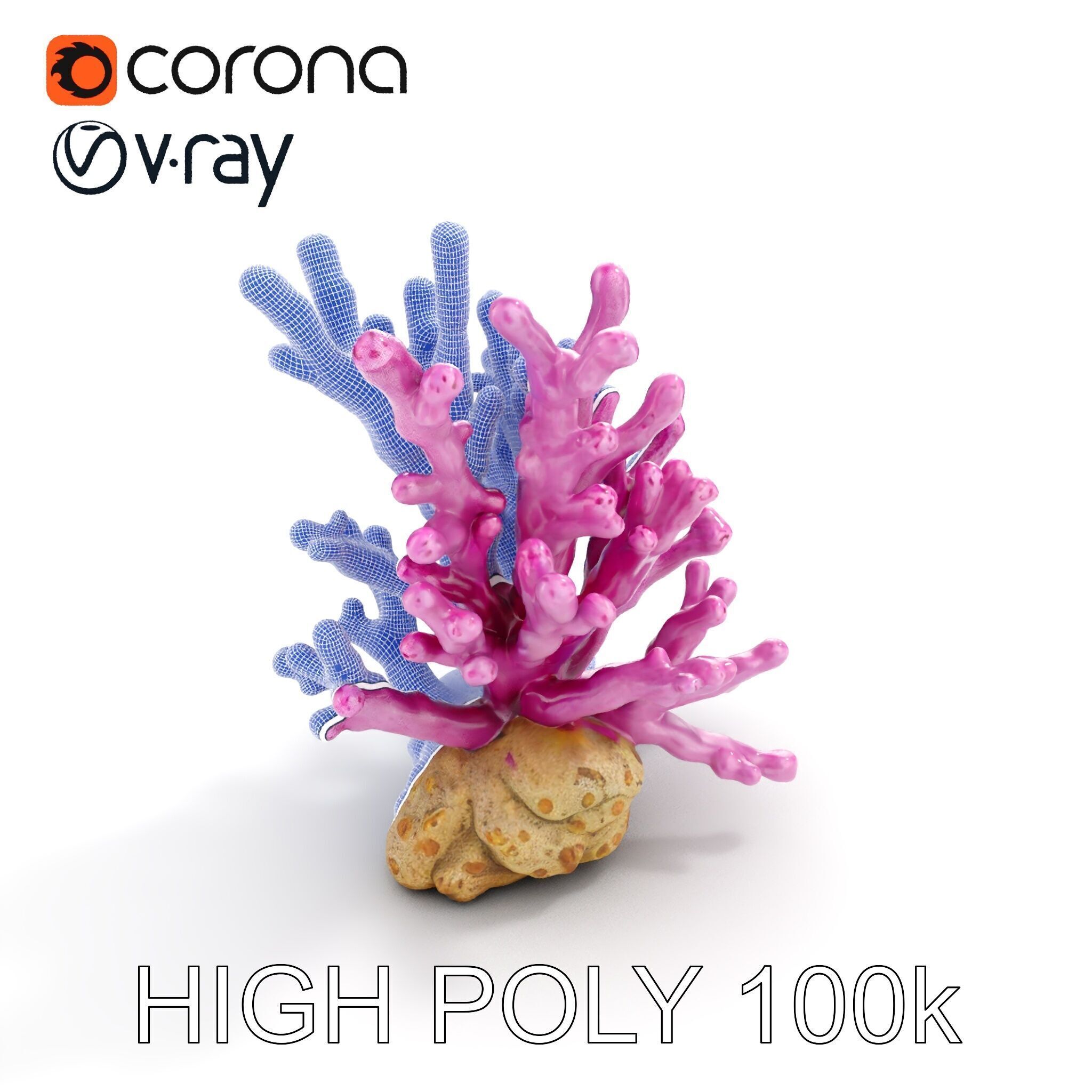 Vibrant Coral Reef Model Pack Low-poly 3D model_21