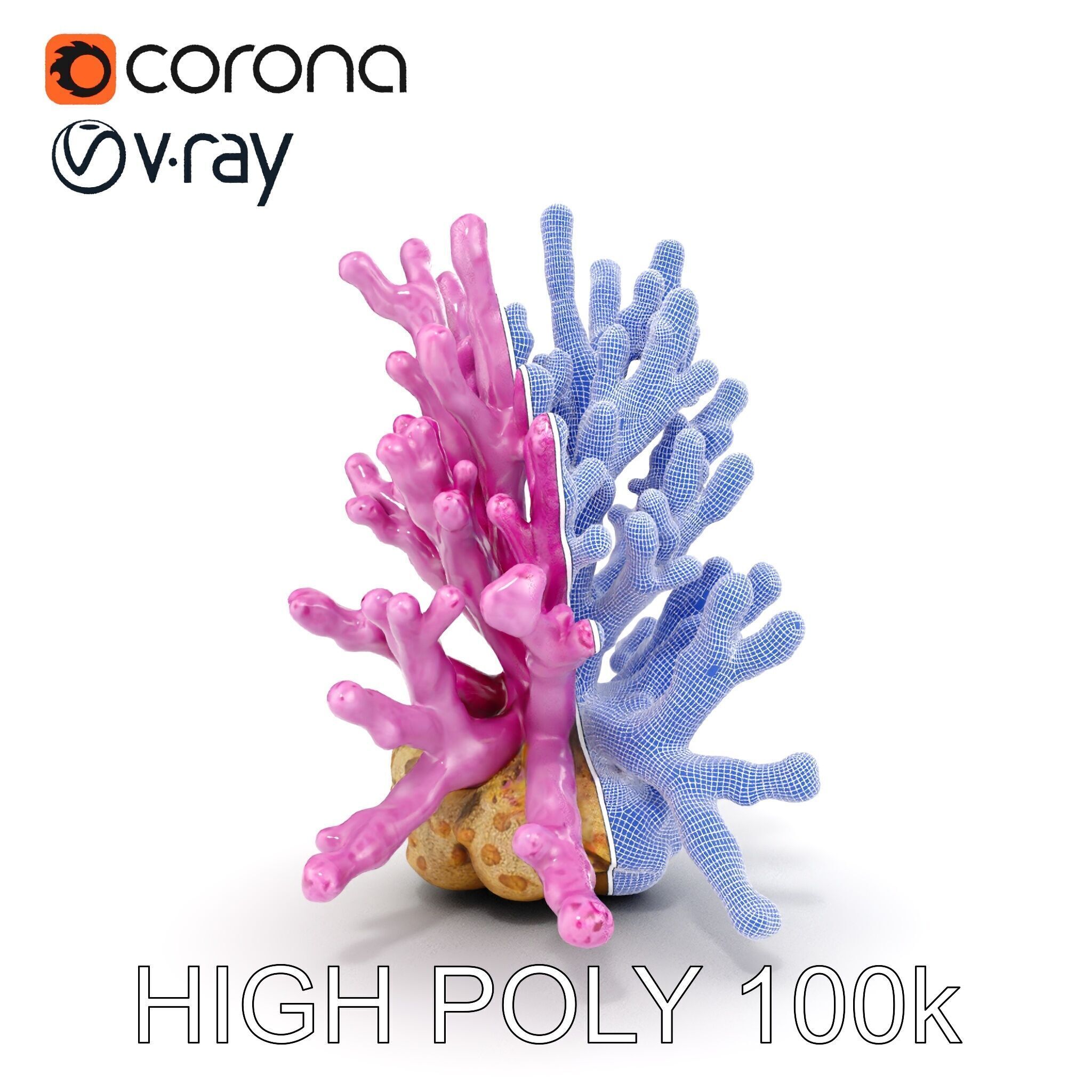 Vibrant Coral Reef Model Pack Low-poly 3D model_32