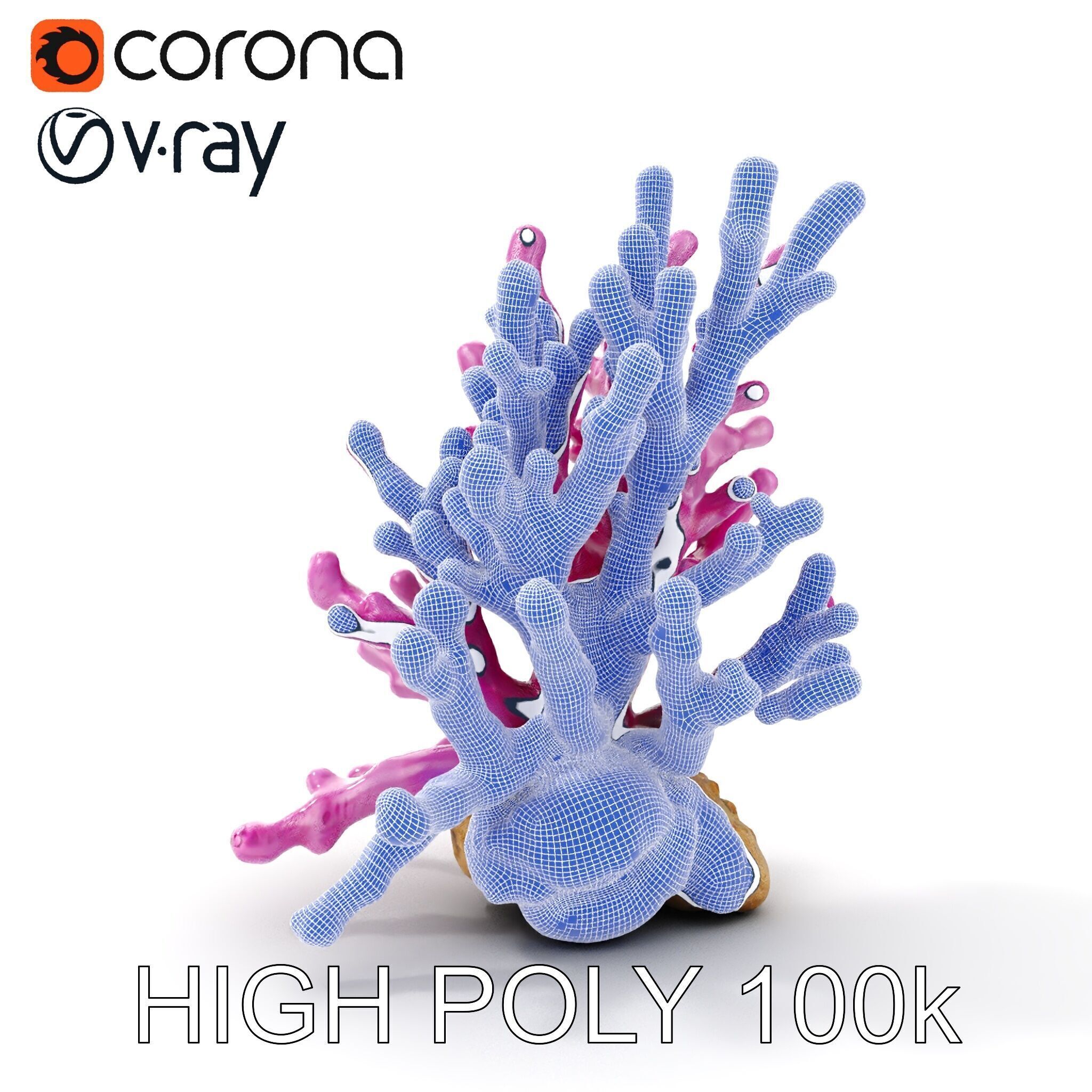 Vibrant Coral Reef Model Pack Low-poly 3D model_35