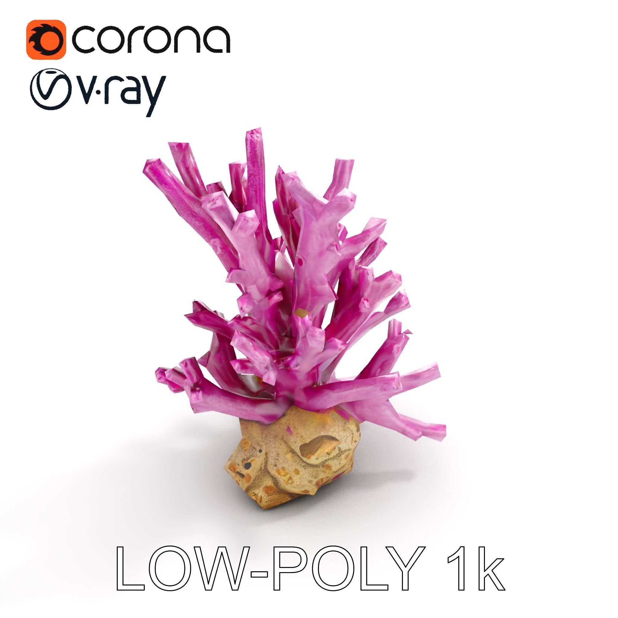 Vibrant Coral Reef Model Pack Low-poly 3D model_14