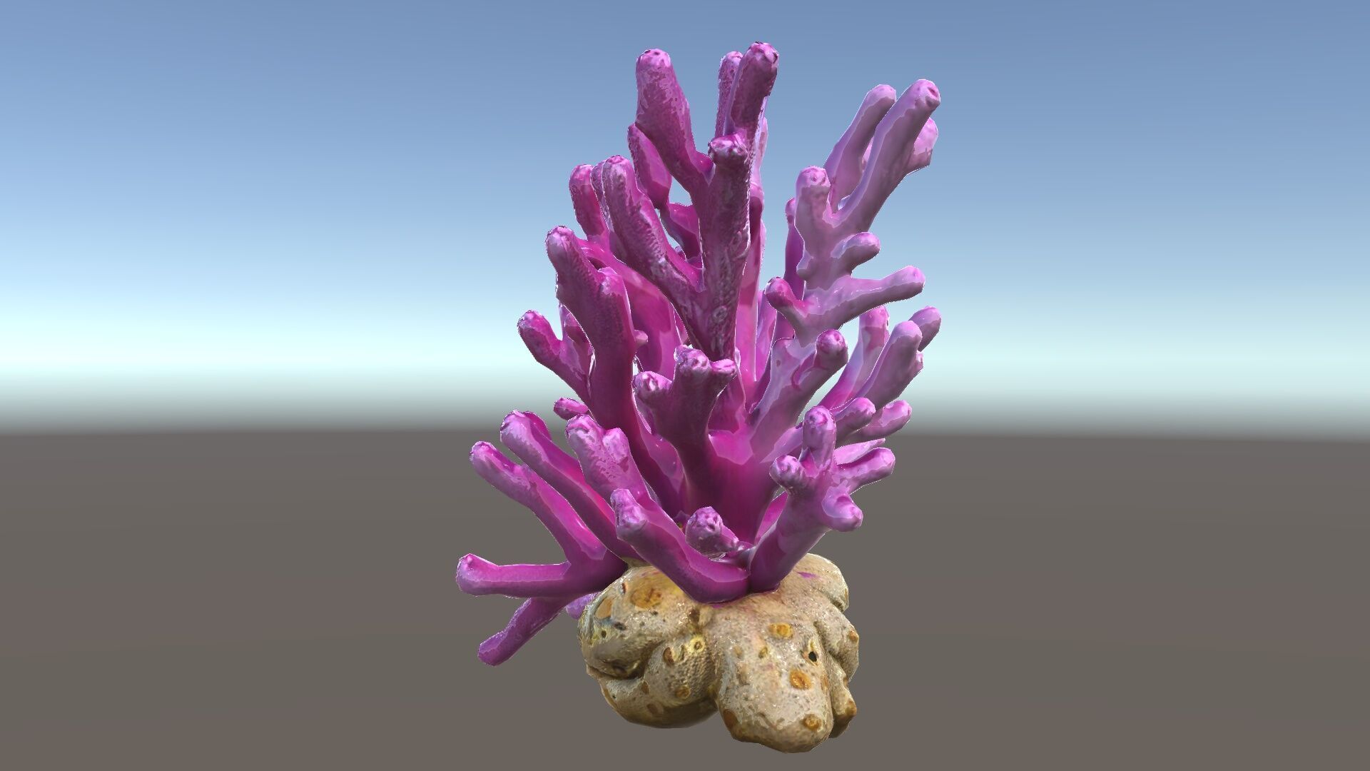 Vibrant Coral Reef Model Pack Low-poly 3D model_33