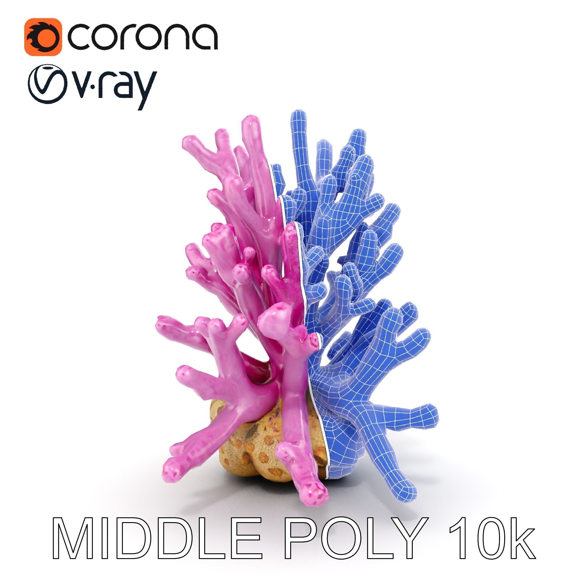 Vibrant Coral Reef Model Pack Low-poly 3D model_22
