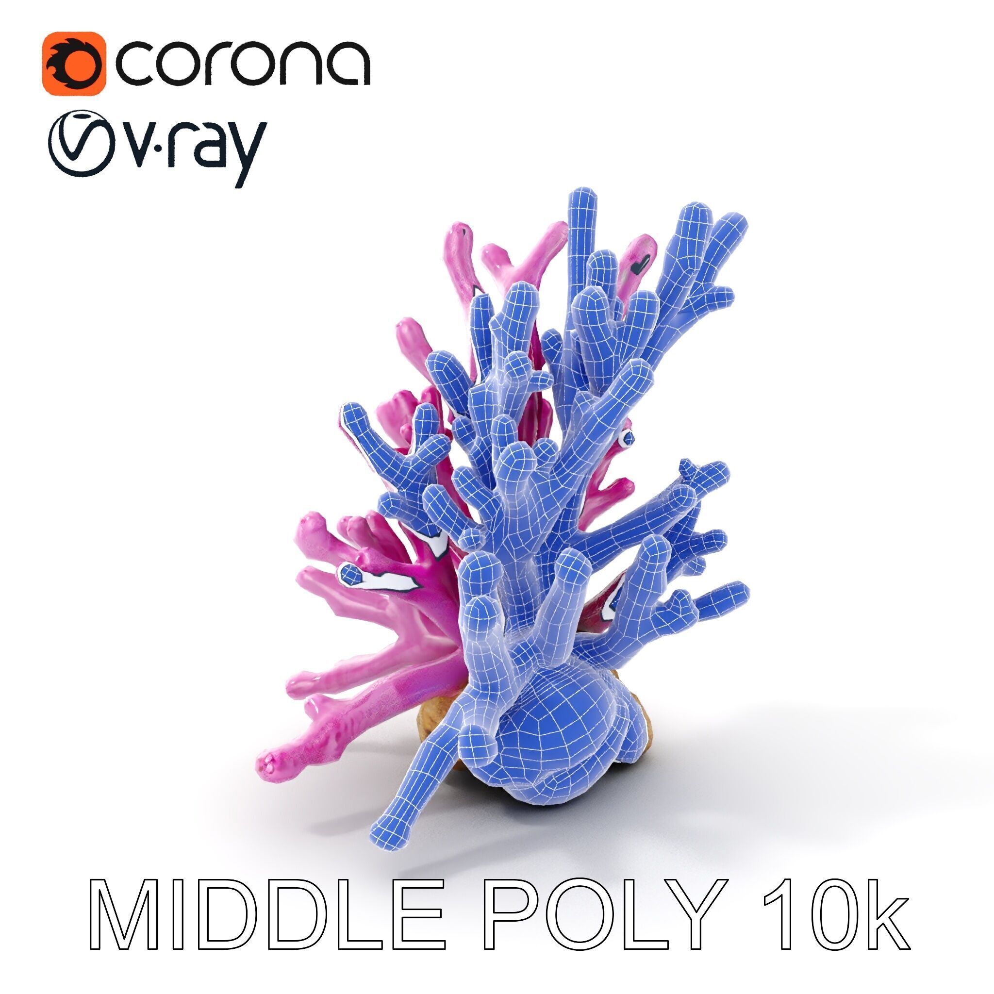 Vibrant Coral Reef Model Pack Low-poly 3D model_25