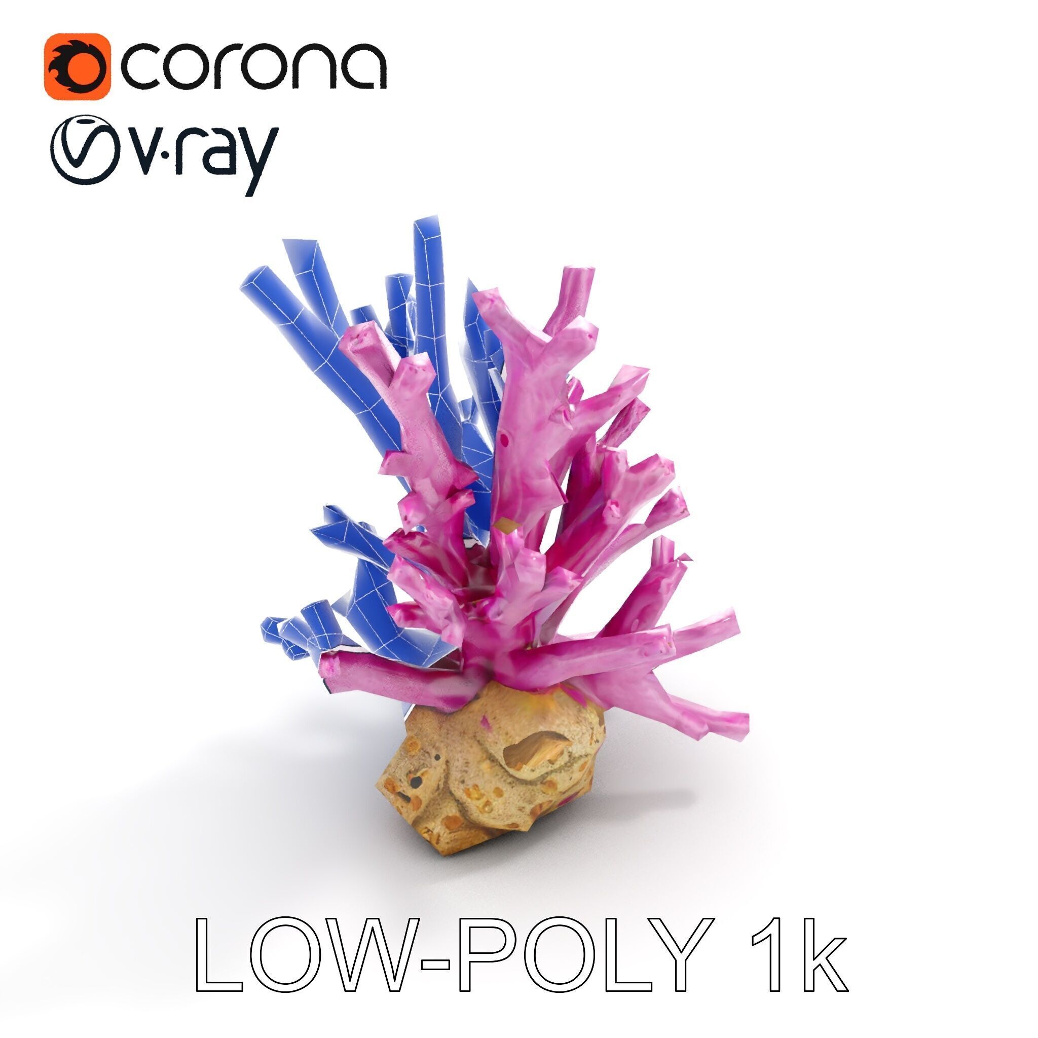 Vibrant Coral Reef Model Pack Low-poly 3D model_29