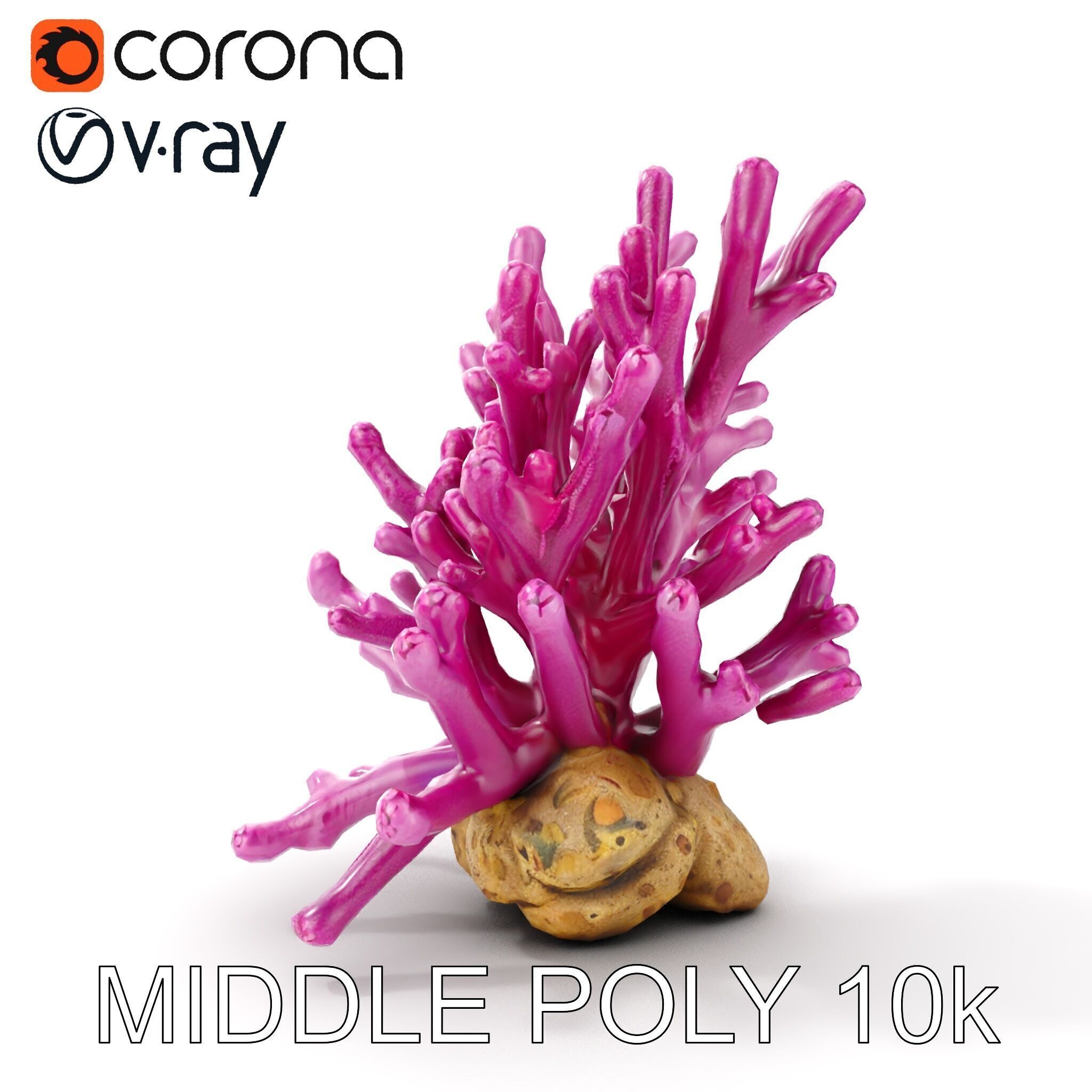 Vibrant Coral Reef Model Pack Low-poly 3D model_10